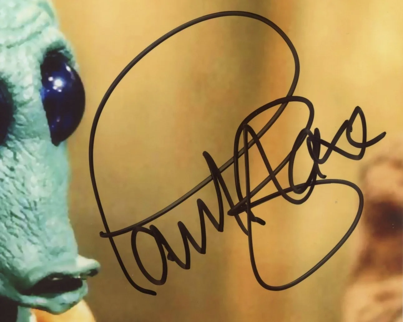 Paul Blake — Paul Blake Signed 8x10 Photo (Holo) Greedo Actor Star Wars Episode IV A New Hope, изображение 2