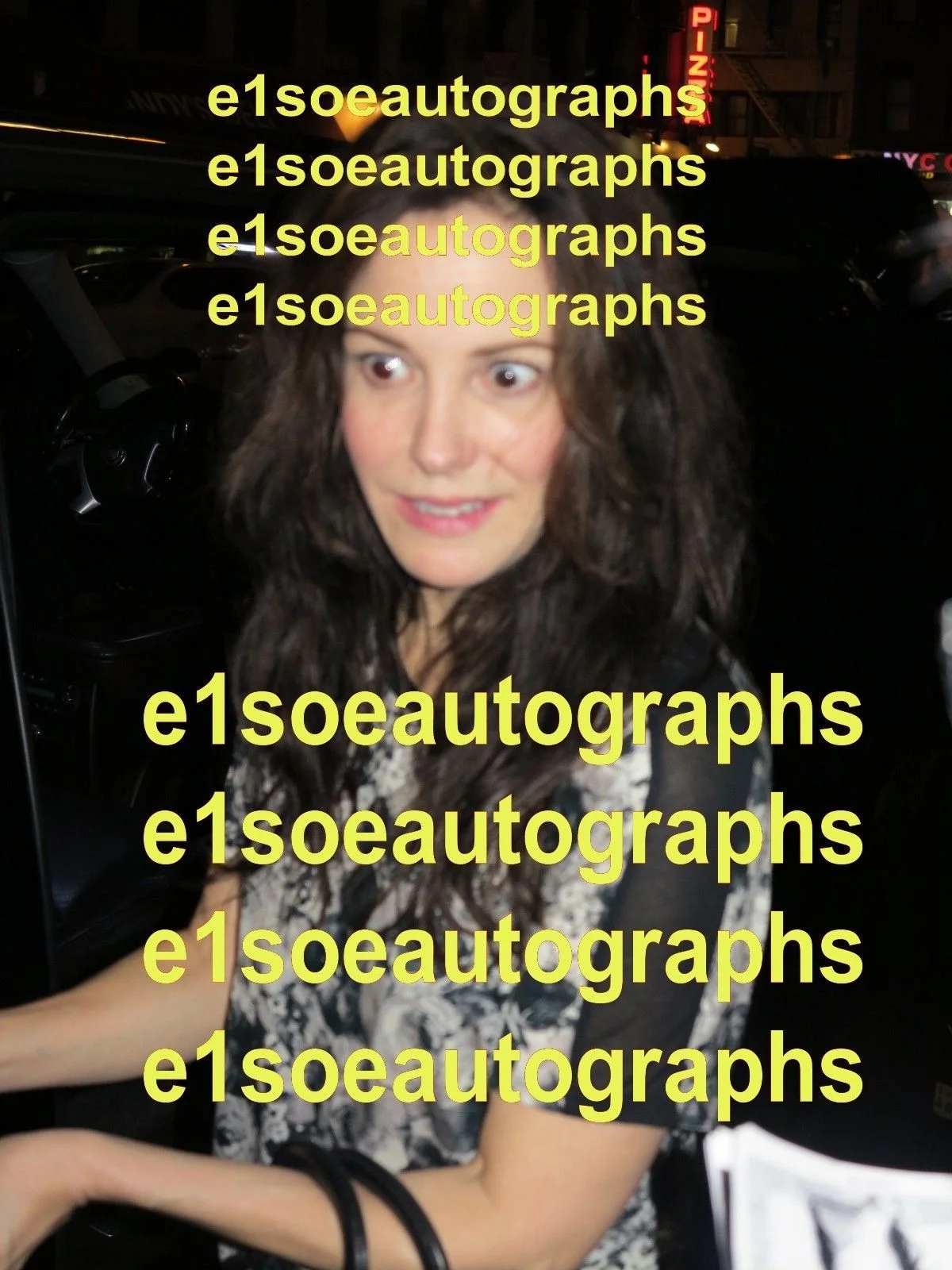 Mary Louise Parker, Victoria Clark — Mary Louise Parker, Victoria Clark, Danny Burstein & Cast Signed Snow Geese, изображение 4