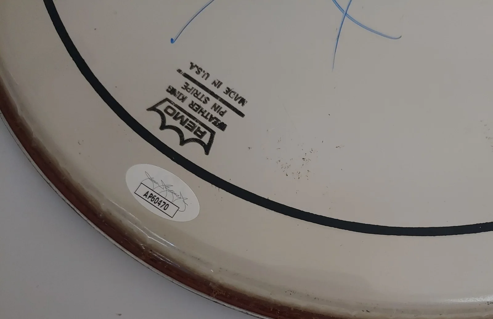 SINEAD O'CONNER signed DRUM HEAD drumhead JSA Coa, image 2