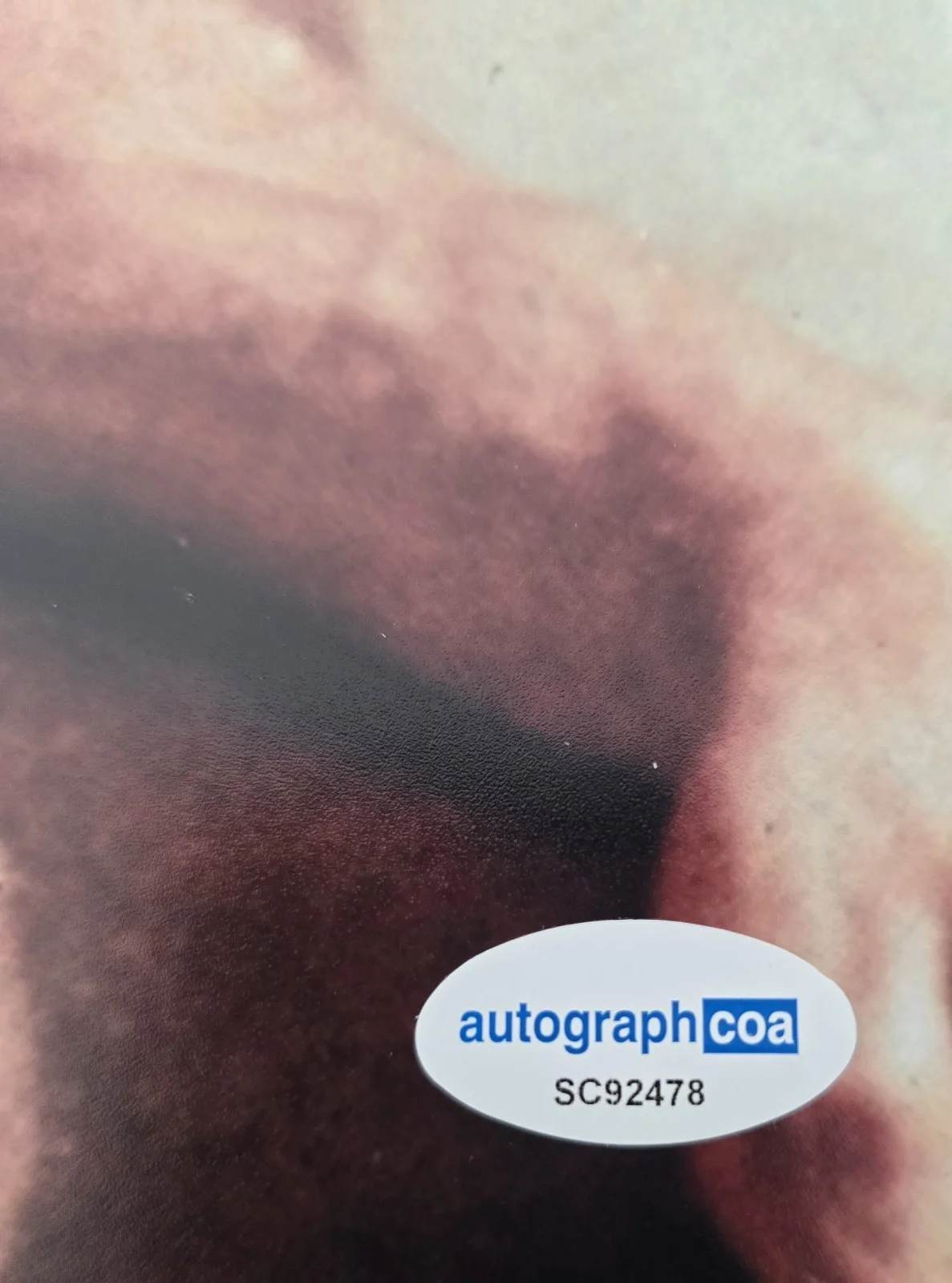Peter Hinwood — Peter Hinwood Signed 12x16 The Rocky Horror Picture Show ACOA Sticker Only, изображение 2