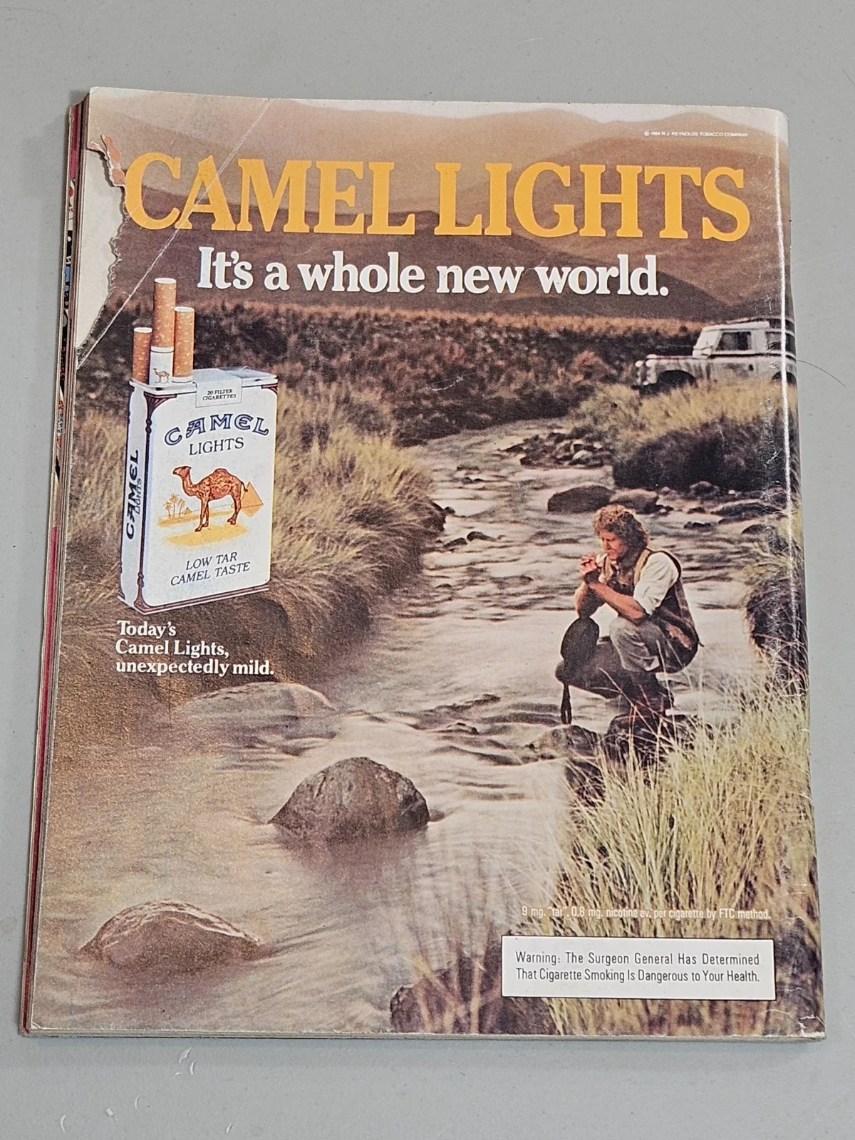 August 1984 TERRY MOORE HUGHES PLAYBOY Full Mag Signed Auto In-Person, изображение 3
