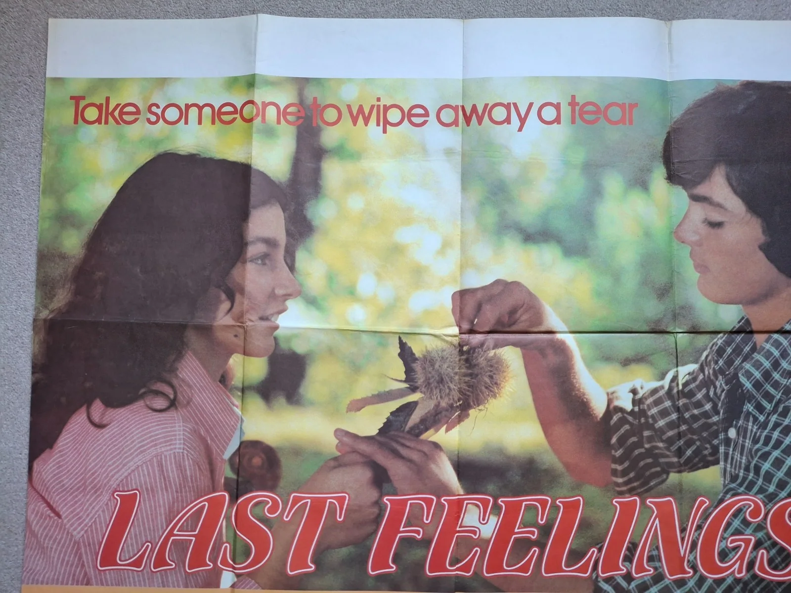 Last Feelings Rare Original UK Cinema Film Movie Quad Poster 40 x 30 inches, изображение 2