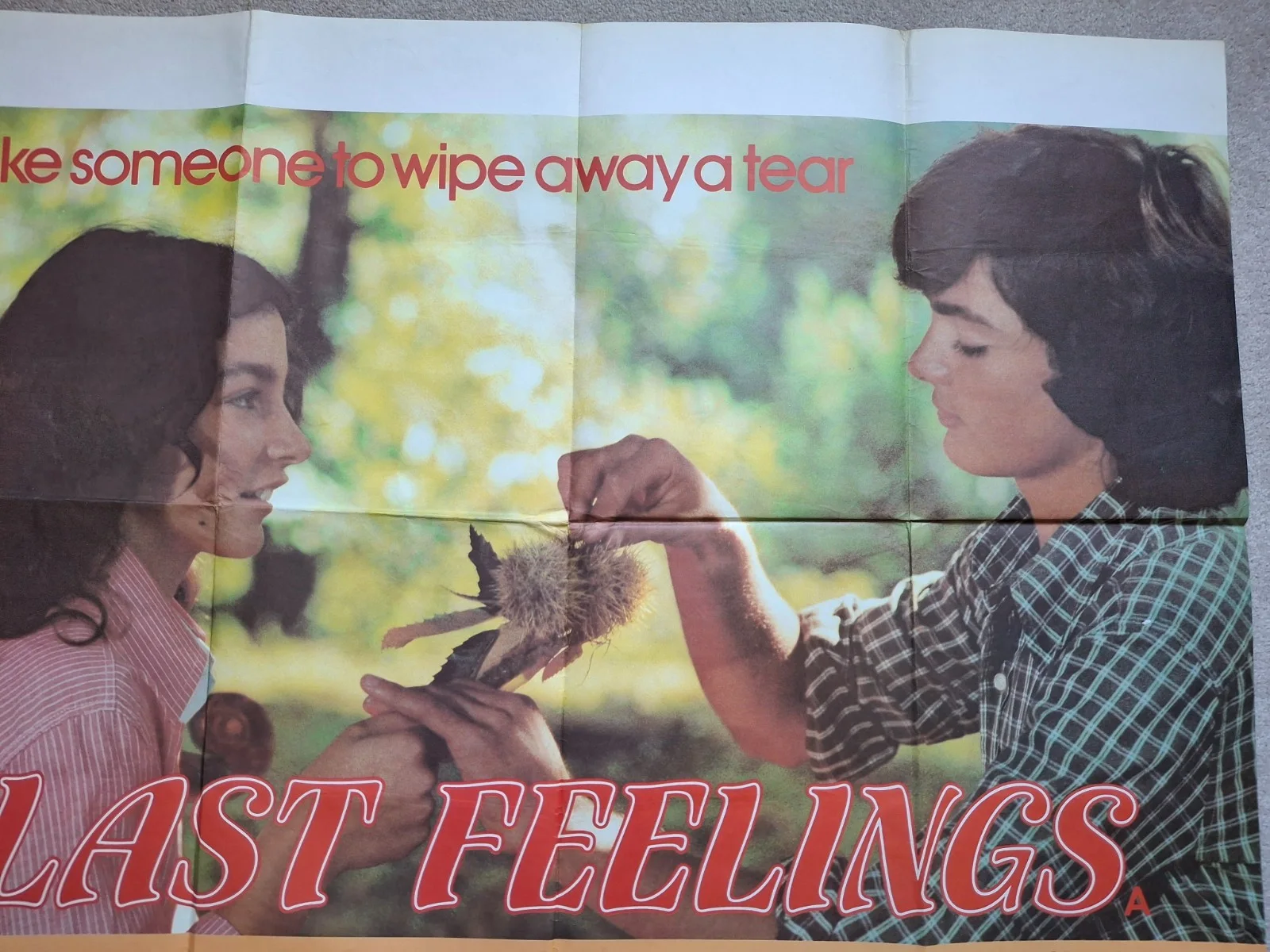 Last Feelings Rare Original UK Cinema Film Movie Quad Poster 40 x 30 inches, изображение 3