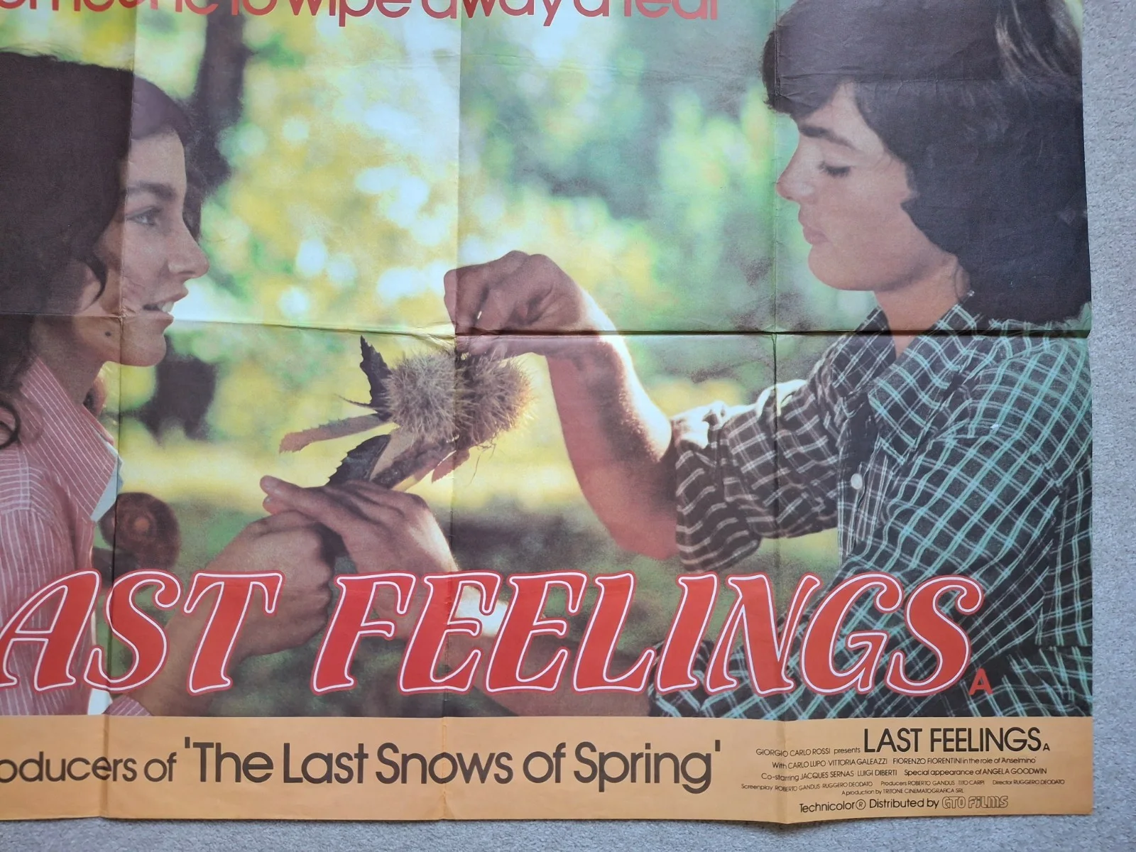 Last Feelings Rare Original UK Cinema Film Movie Quad Poster 40 x 30 inches, изображение 4