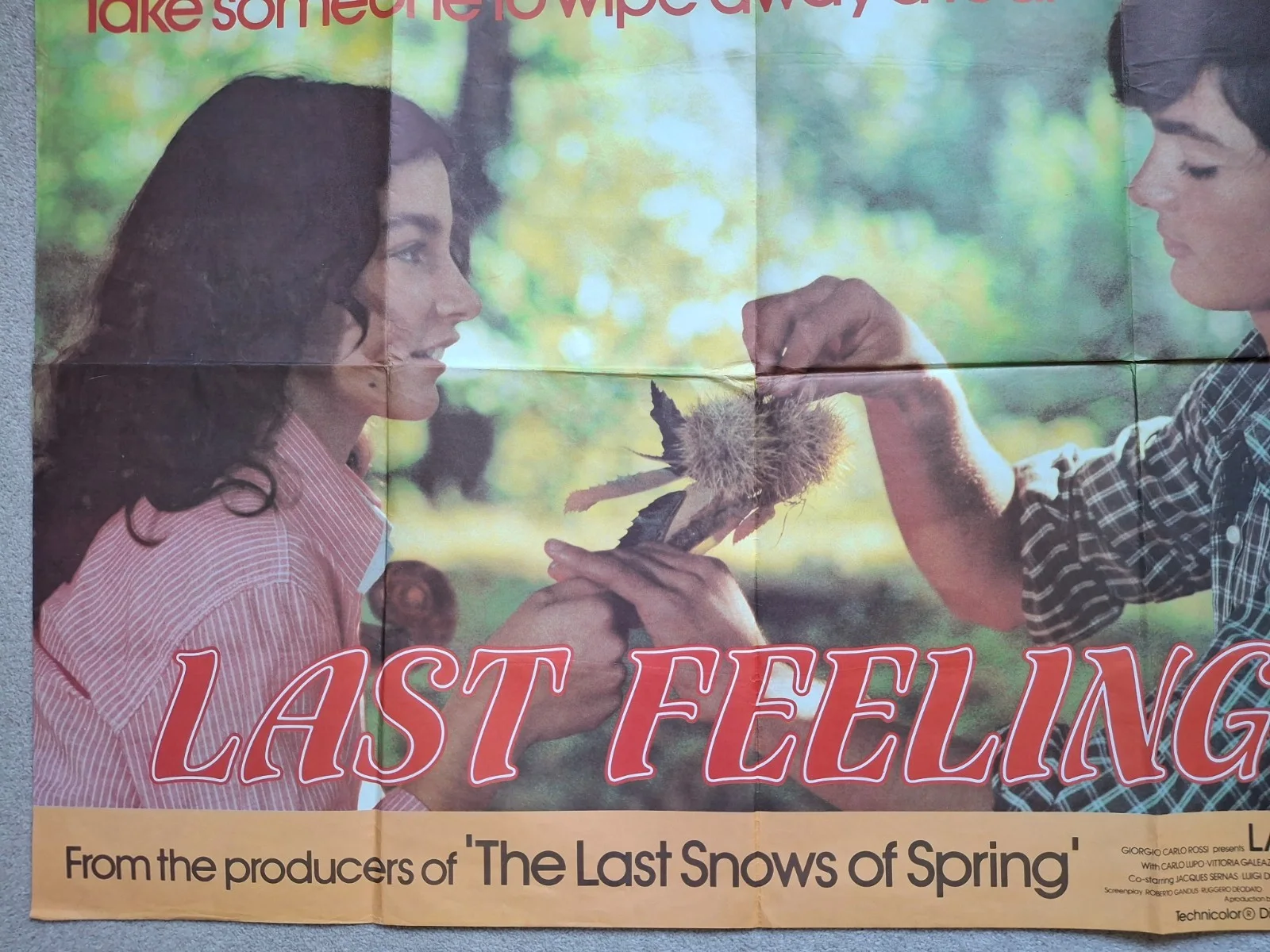 Last Feelings Rare Original UK Cinema Film Movie Quad Poster 40 x 30 inches, изображение 5
