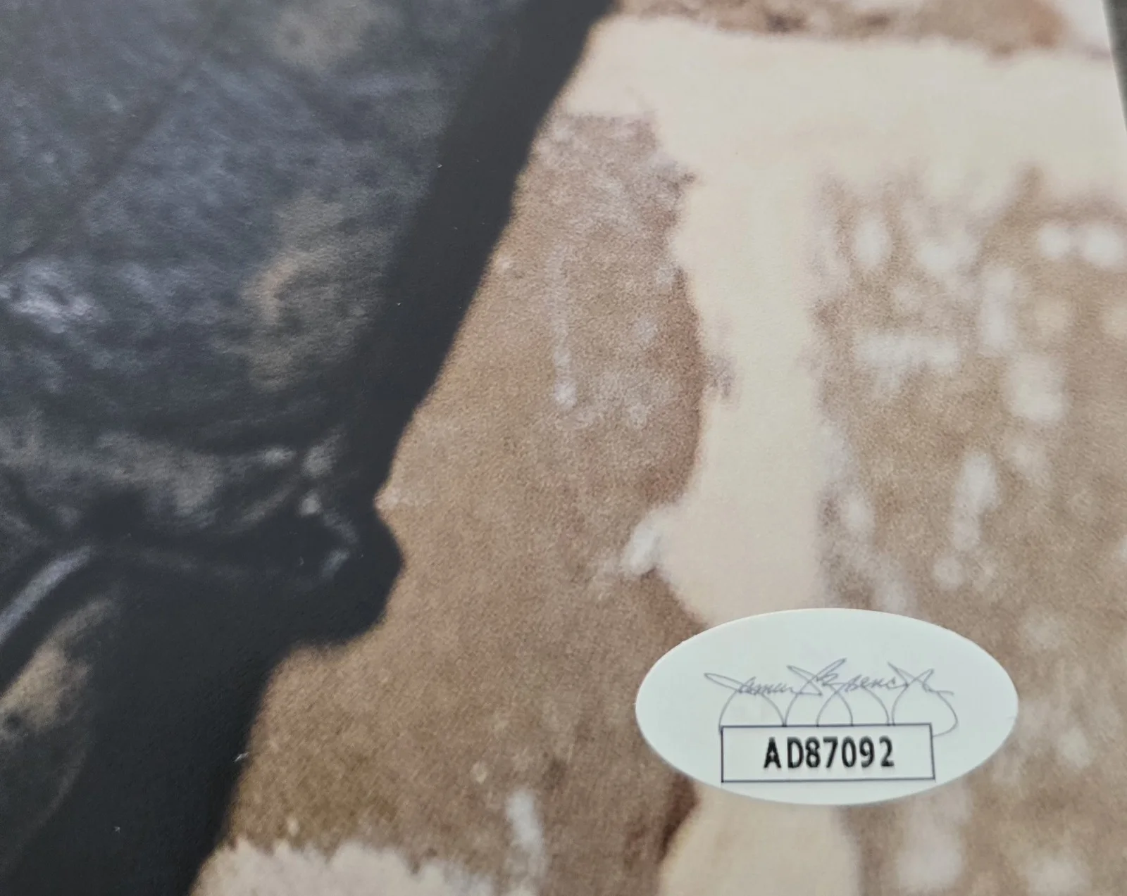 Tom Payne — Tom Payne Signed 11x14 The Walking Dead JSA Sticker Only, image 2