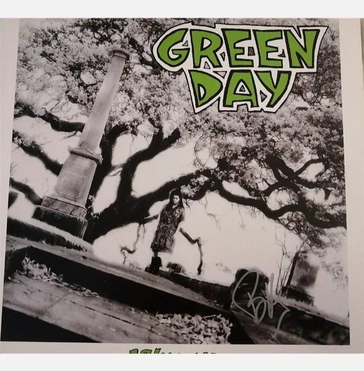 Billie Joe — Billie Joe signed 39 smooth vinyl lp rare Green Day, image 3