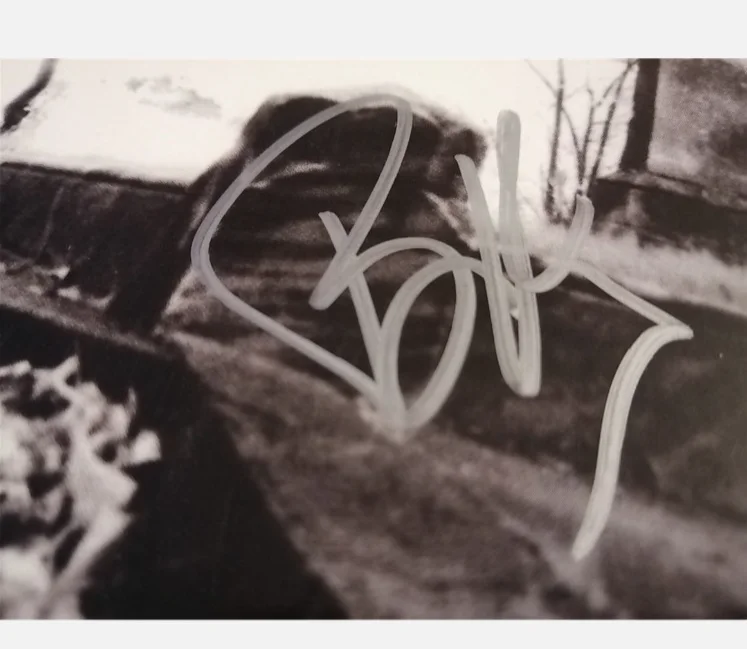 Billie Joe — Billie Joe signed 39 smooth vinyl lp rare Green Day, image 4