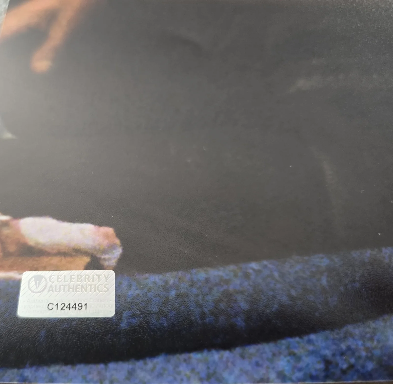 Jeff Goldblum — Jeff Goldblum Signed 11x14 Jurassic Park Celebrity Authentics Private Signing, image 2
