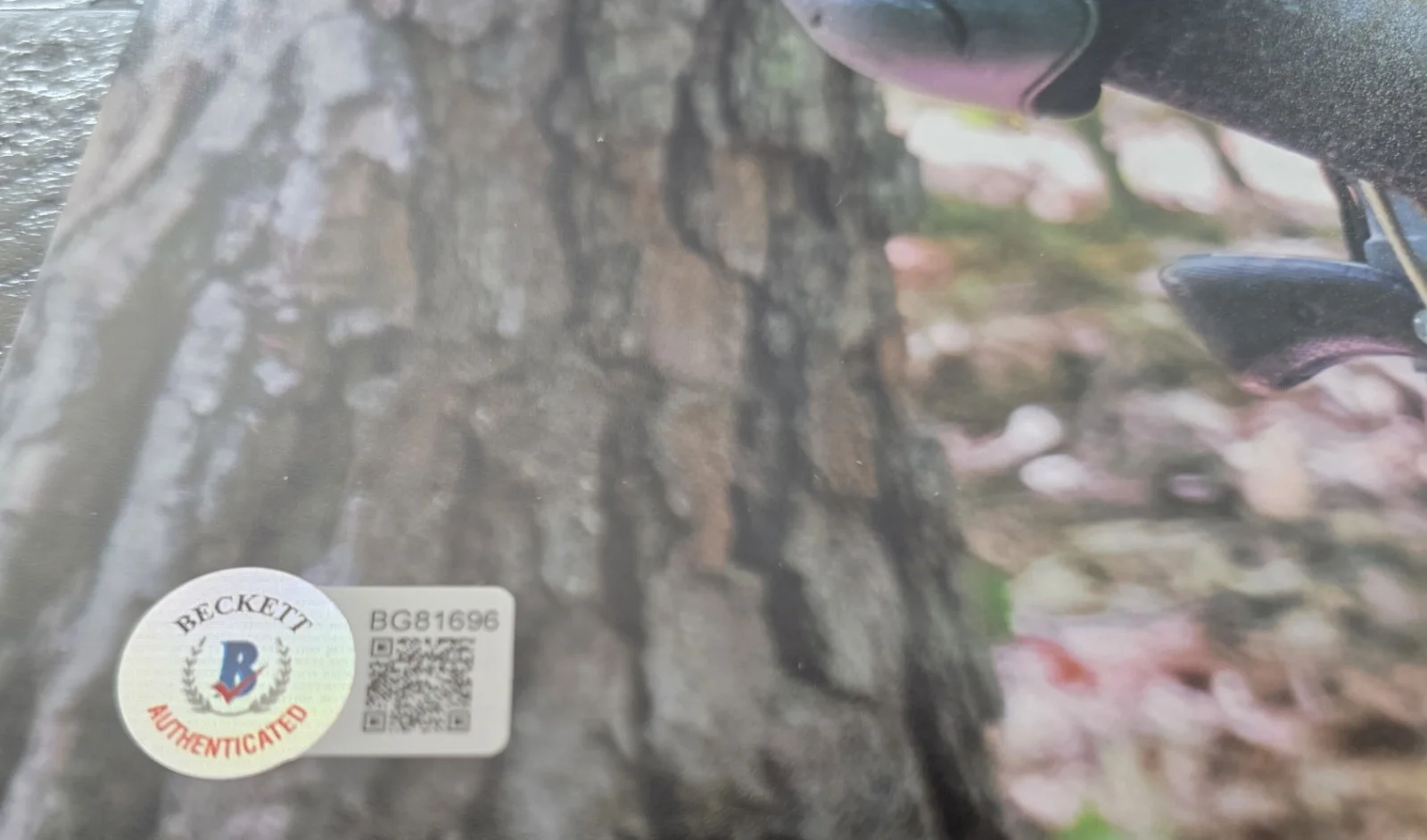 Melissa Mcbride — Melissa Mcbride Signed 11x14 The Walking Dead Beckett Authenticated, image 2