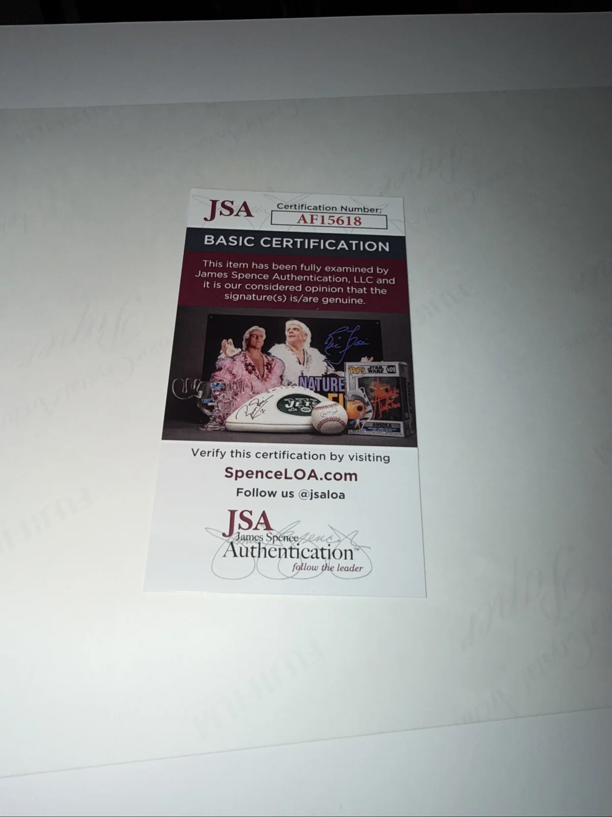 Pawel Maciwoda Scorpions Signed Autographed 8x10 Photo W/ JSA COA, image 5