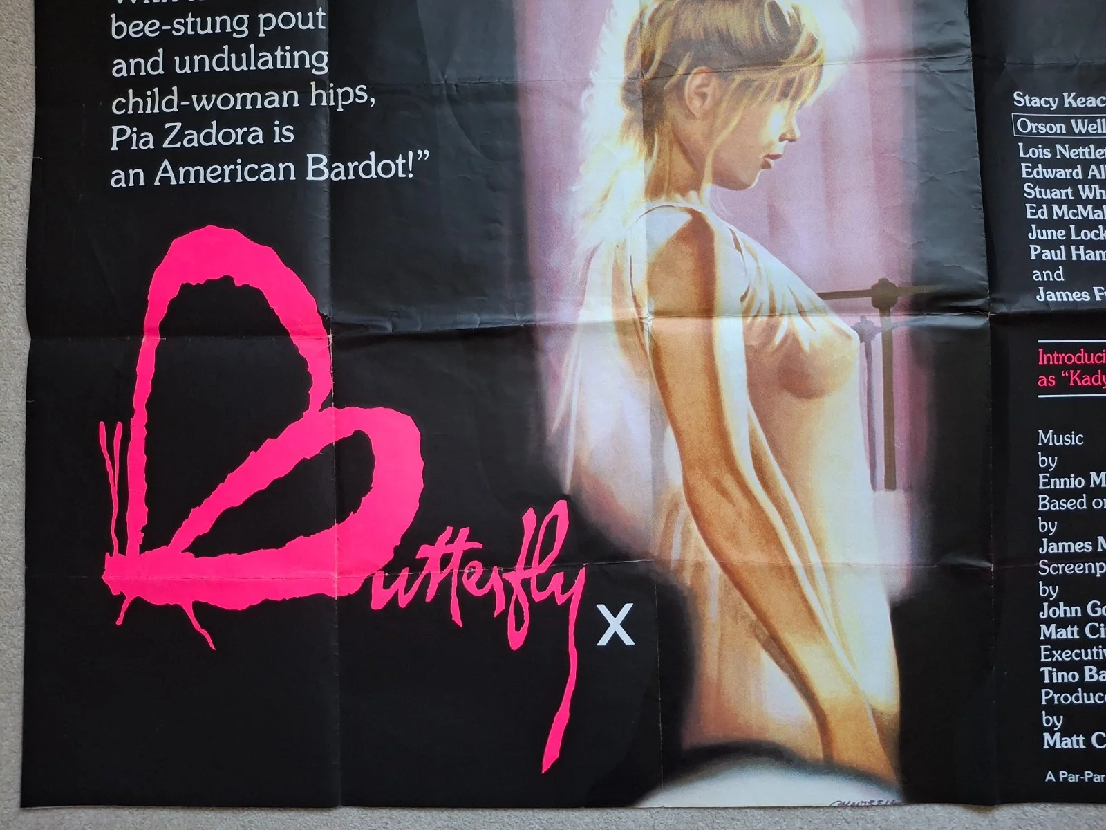 BUTTERFLY (1982) Rare & Original Movie Cinema Film Quad Poster Pia Zadora, изображение 5