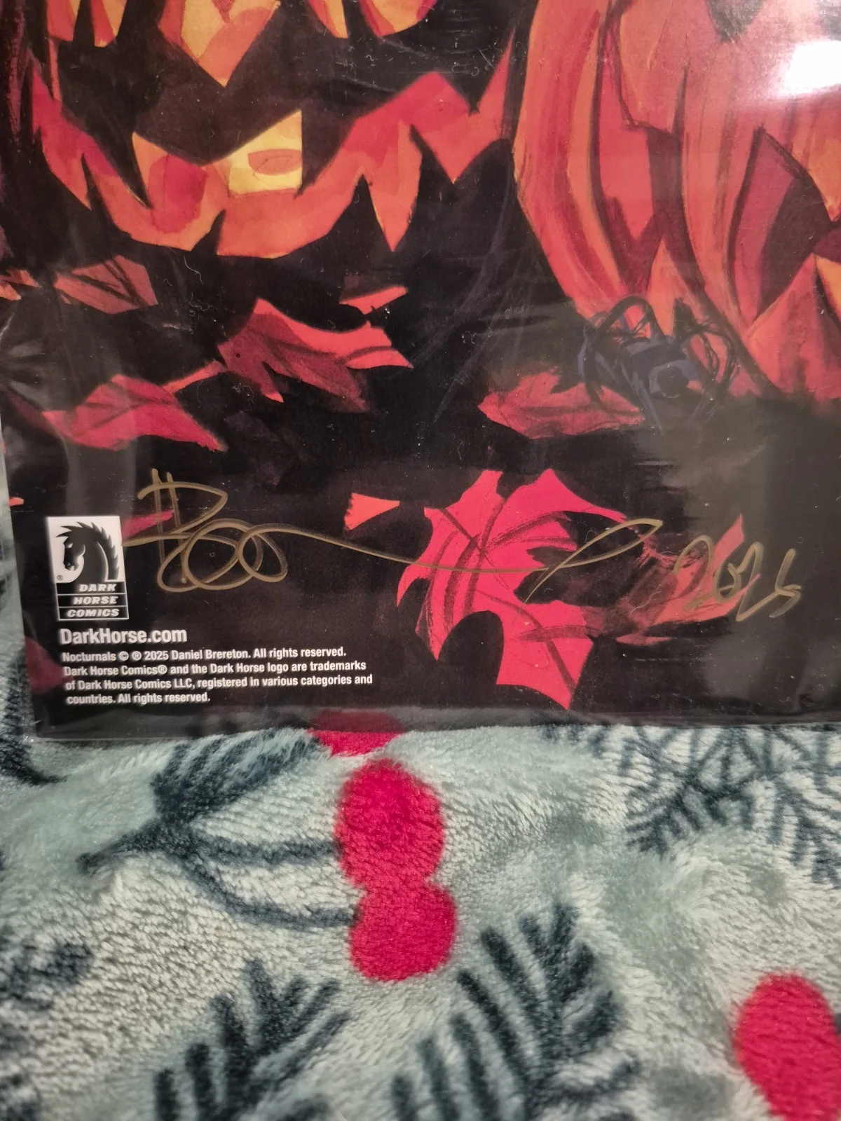 17x11in POSTER SIGNED AND REMARKED BY DAN BRERETON, image 3