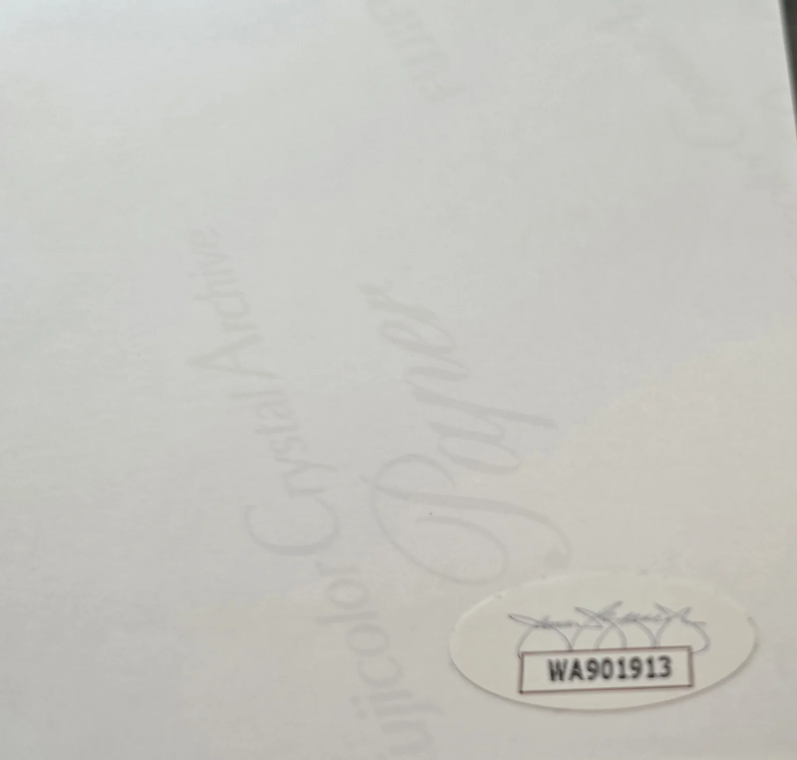 David Arquette — David Arquette Signed 11x14 Scream JSA Witnessed Sticker Only, image 3