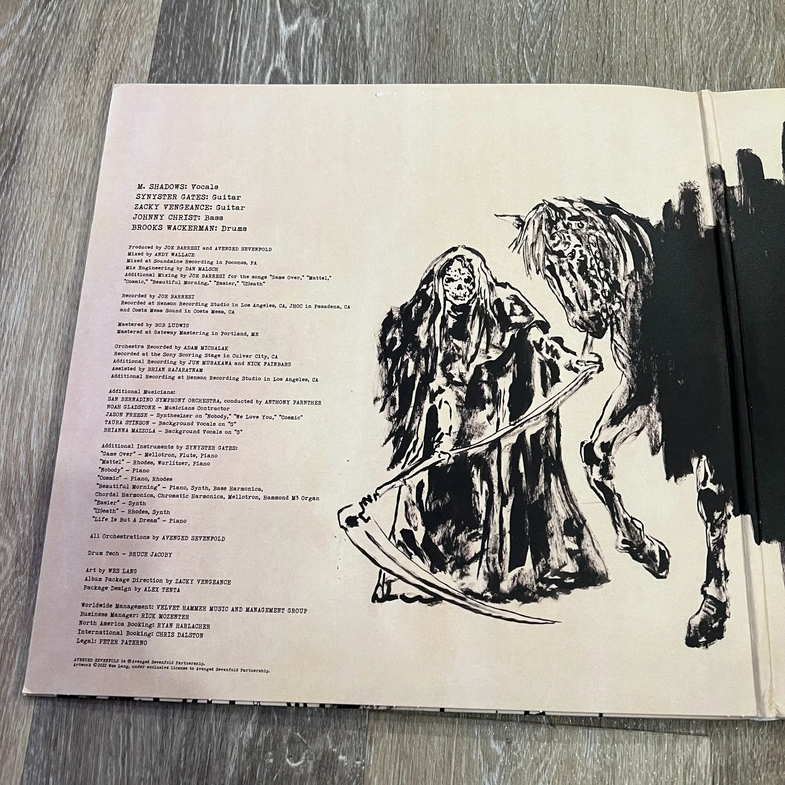 Avenged Sevenfold 'Life Is But A Dream' Signed Autographed Vinyl Album LP [JSA], image 5