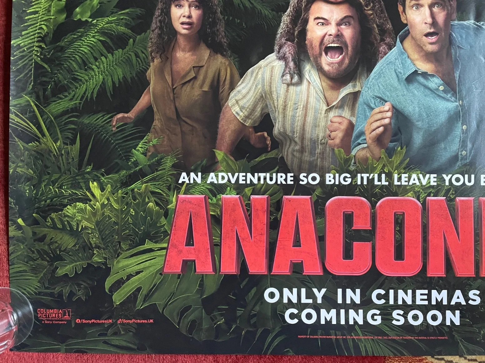 ANACONDA (2025) Original UK Quad Movie Film Poster Jack Black, Paul Rudd, изображение 4