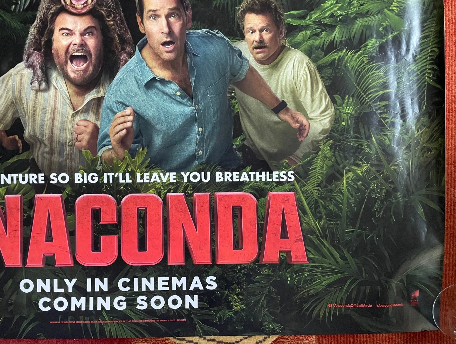 ANACONDA (2025) Original UK Quad Movie Film Poster Jack Black, Paul Rudd, изображение 5