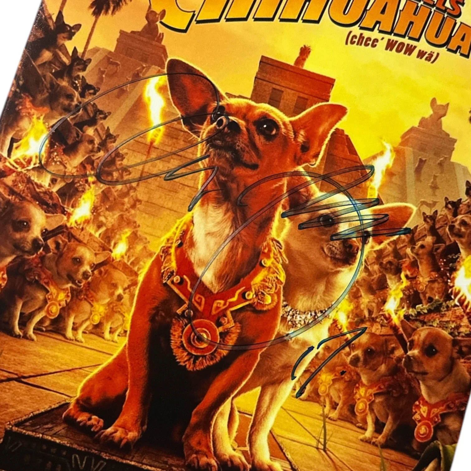 George Lopez — George Lopez Autograph 8.5x11 Photo! Voice of Papi in “Beverly Hills Chihuahua”!, изображение 2