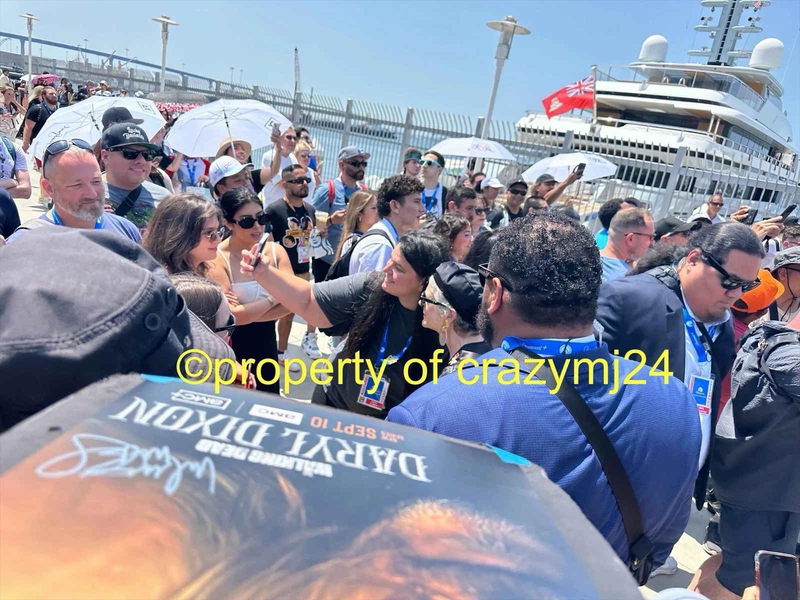 Norman Reedus Melissa McBride Signed The Walking Dead Daryl Dixon Autograph PSA, image 3