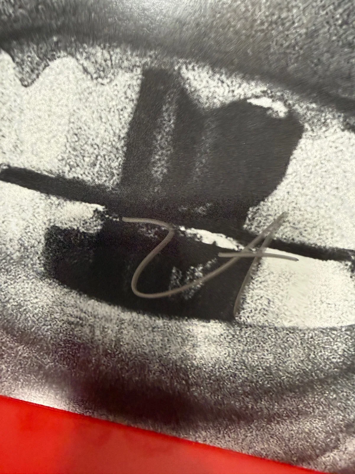 Bully Limited Vinyl Signed Record, image 2