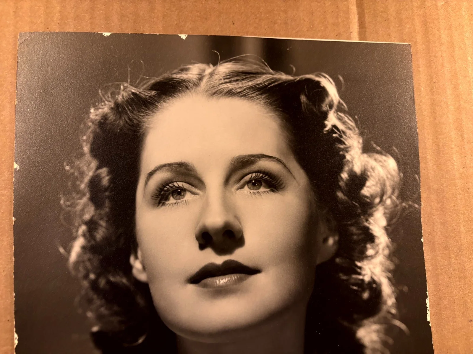 Norma Shearer Very Rare Early Autographed Oversize 10/13 Photo 30s Clarence Bull, изображение 2