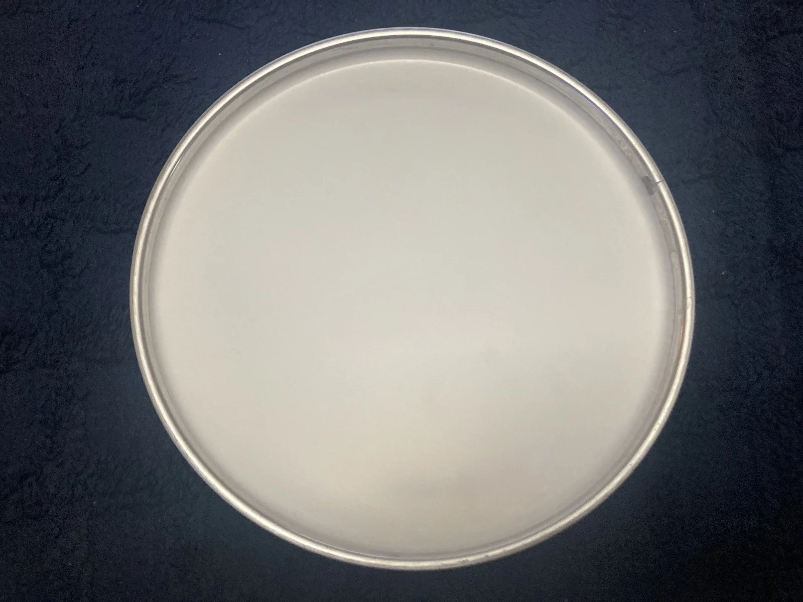 Avatar Signed 10" Evans Drumhead, image 2