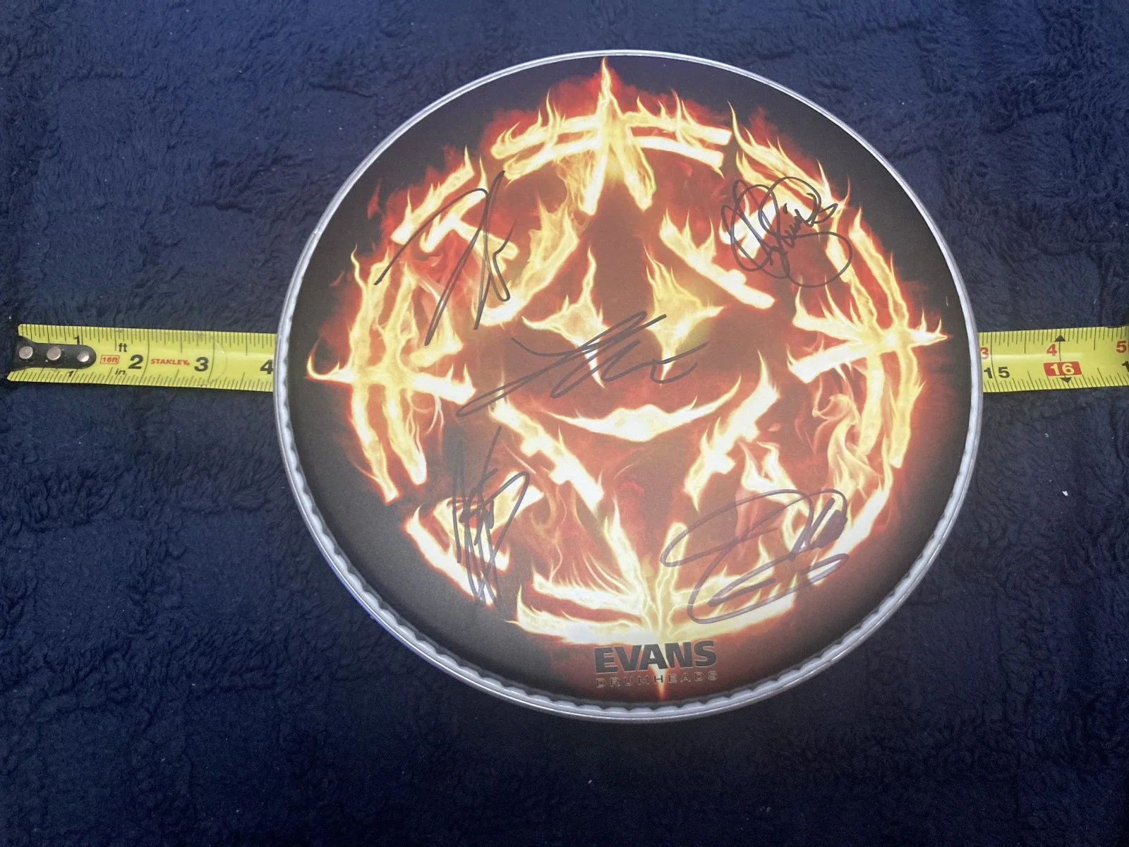 Avatar Signed 10" Evans Drumhead, image 3