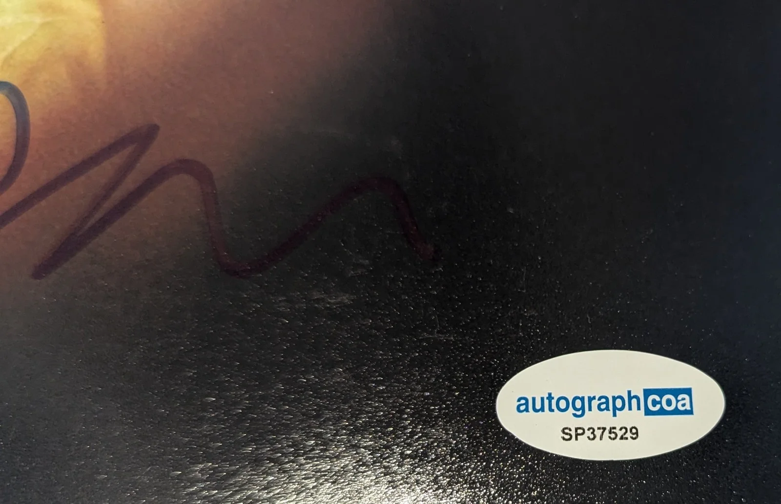 Carey Mulligan Signed 8x10 Pride and Prejudice Autographed Photo ACOA COA, image 2