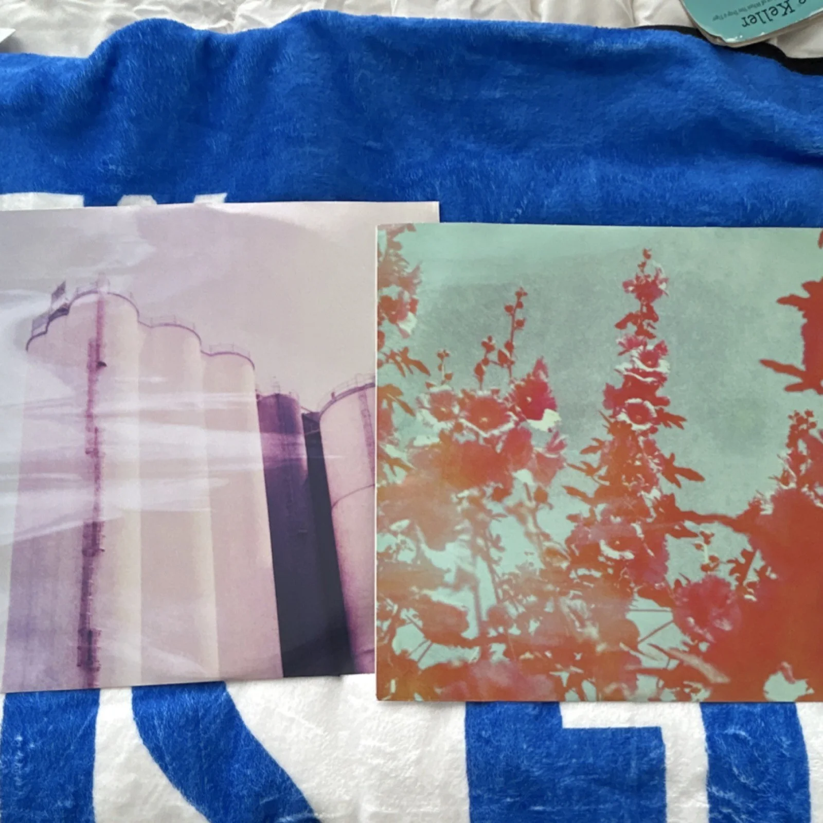 Lana Del Rey Tunnel Under Ocean Blvd Pink Vinyl (slightly drawn on: removable), изображение 3