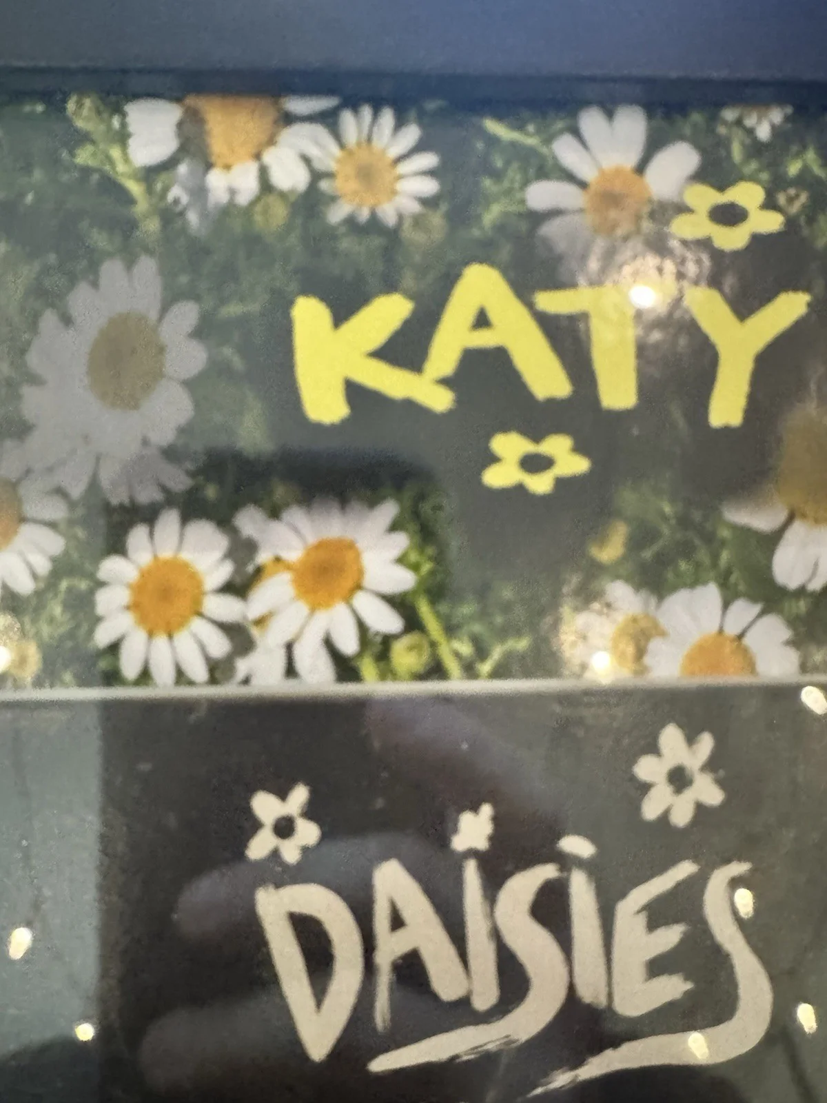 Katy Perry Signed "Daisies" 7" Vinyl Framed 14x11 - JSA, image 2