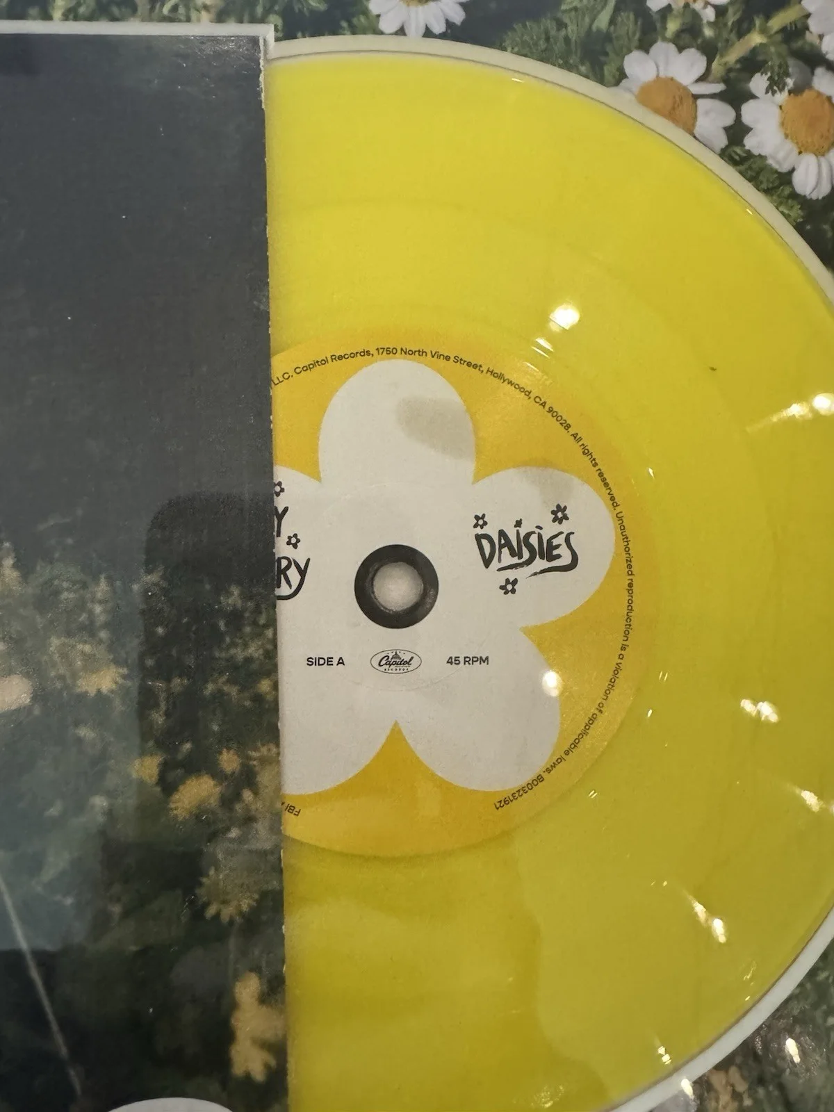 Katy Perry Signed "Daisies" 7" Vinyl Framed 14x11 - JSA, image 3