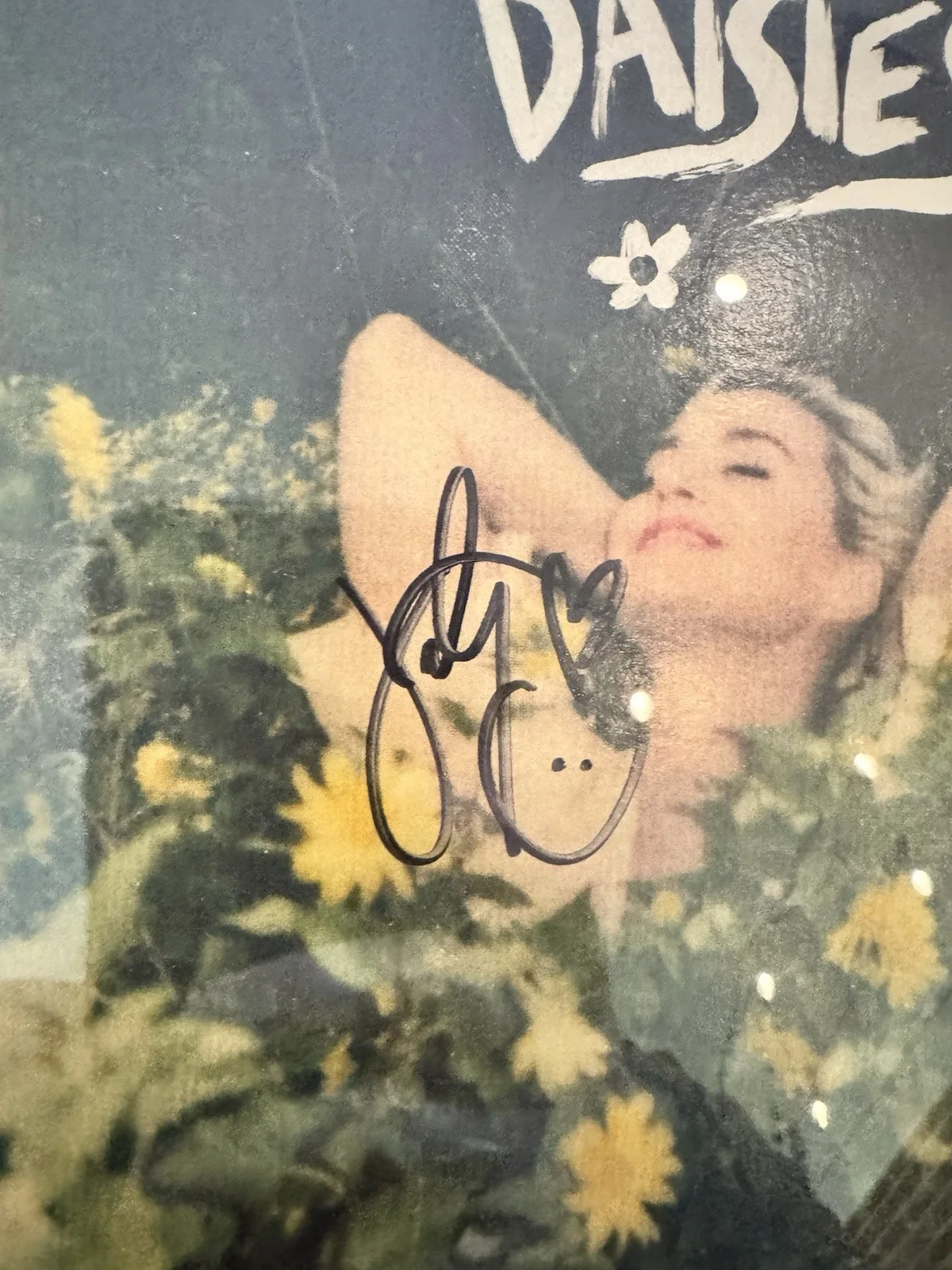 Katy Perry Signed "Daisies" 7" Vinyl Framed 14x11 - JSA, image 4