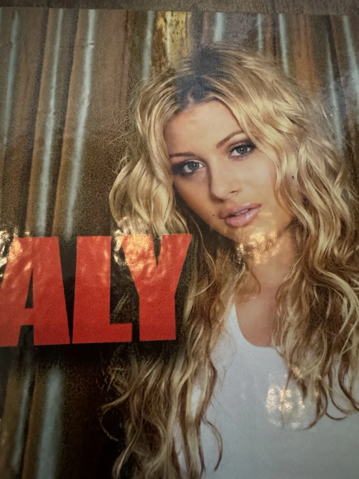 Aly and AJ Signed "Potential Breakup Song" 7" Vinyl Framed 11x14 - JSA, image 2