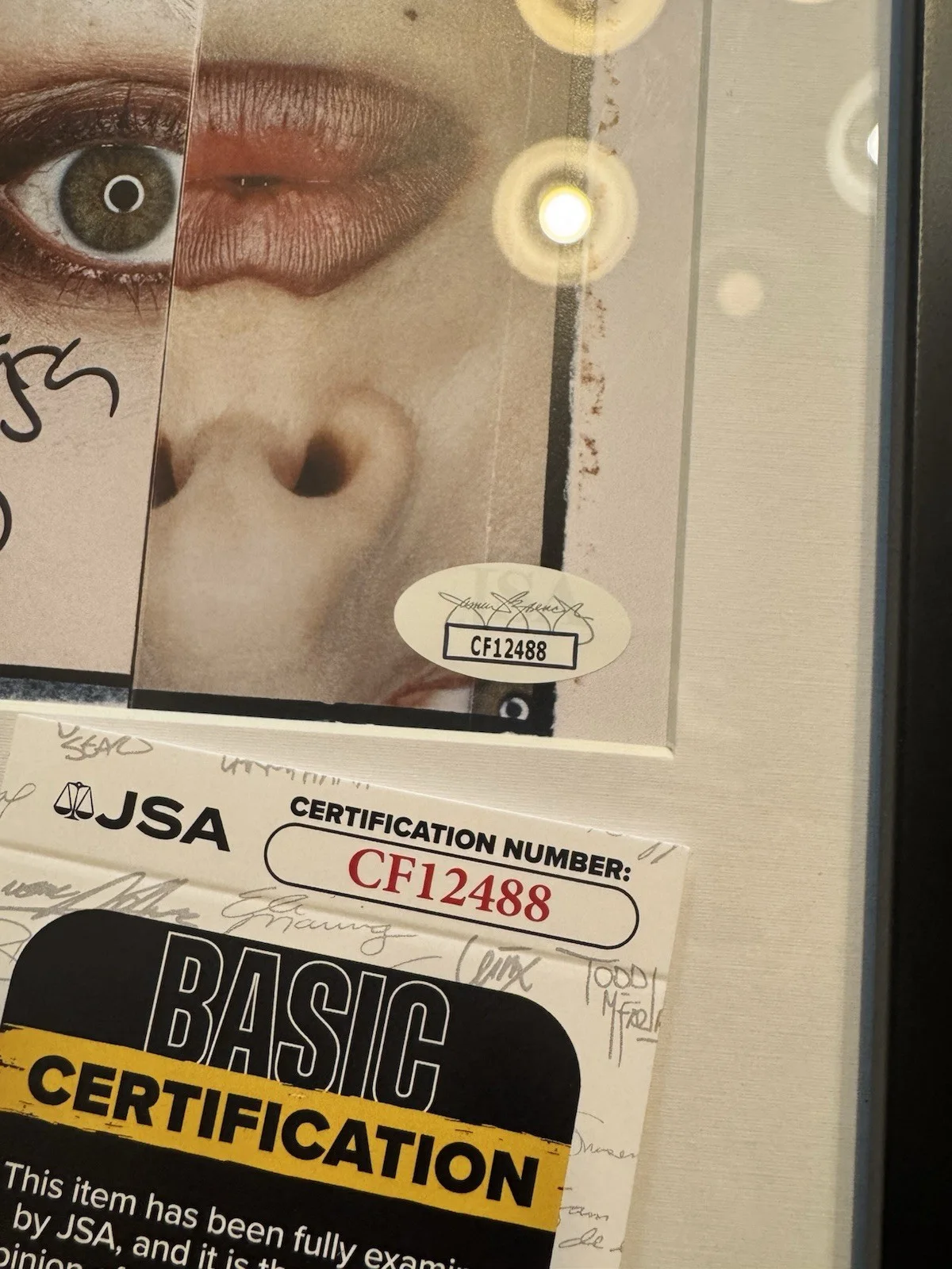 LADY GAGA — Lady Gaga Signed CD Insert "Mayhem" Framed 6.5x12 - JSA, image 2