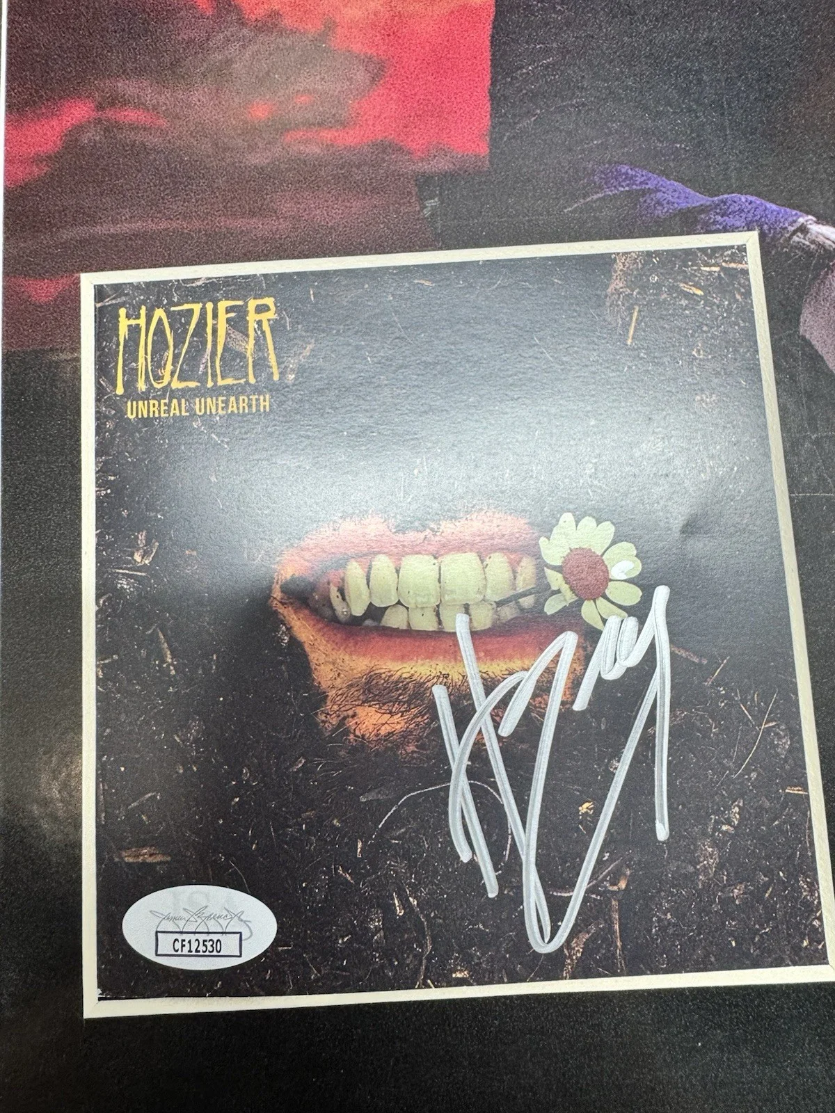Hozier Signed CD Insert "Unreal Unearth" Framed 11x14 - JSA, image 4