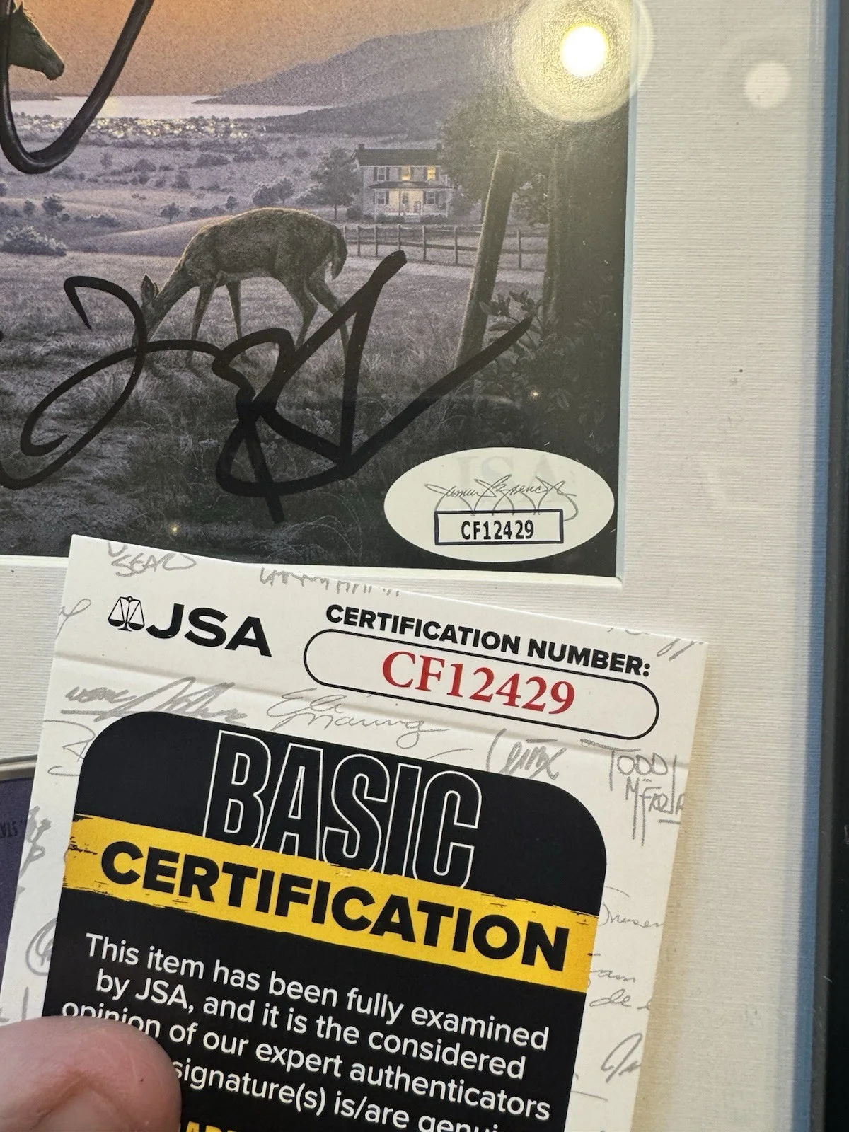 OLD DOMINION — Old Dominion Signed CD Insert "Memory Lane" Framed 6.5x12 - JSA, image 2