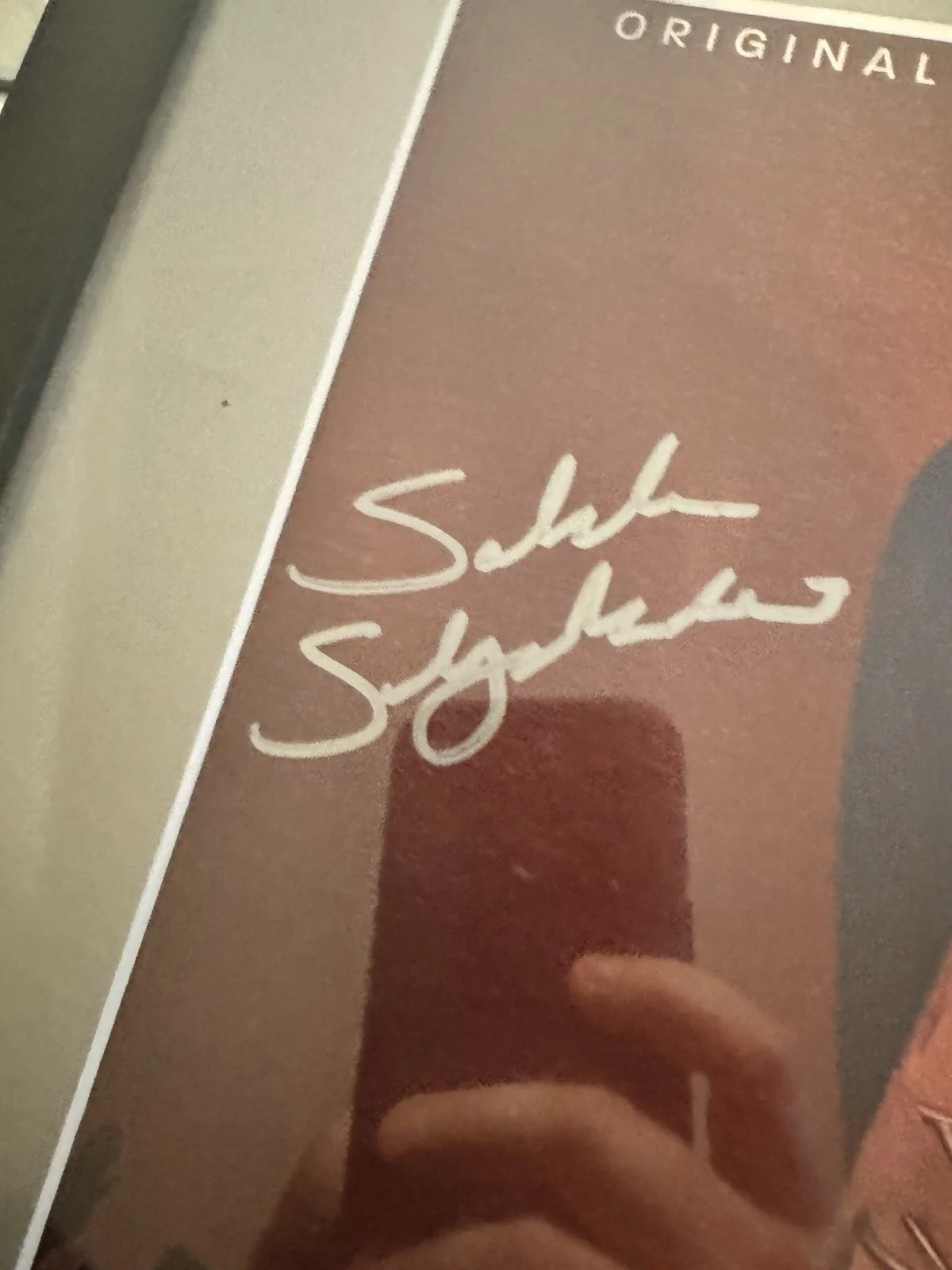M Night Shyamalan, SALEKA — M. Night Shyamalan Saleka Signed "Lady Raven Trap" 12" Vinyl Framed 16x20 - JSA, image 3