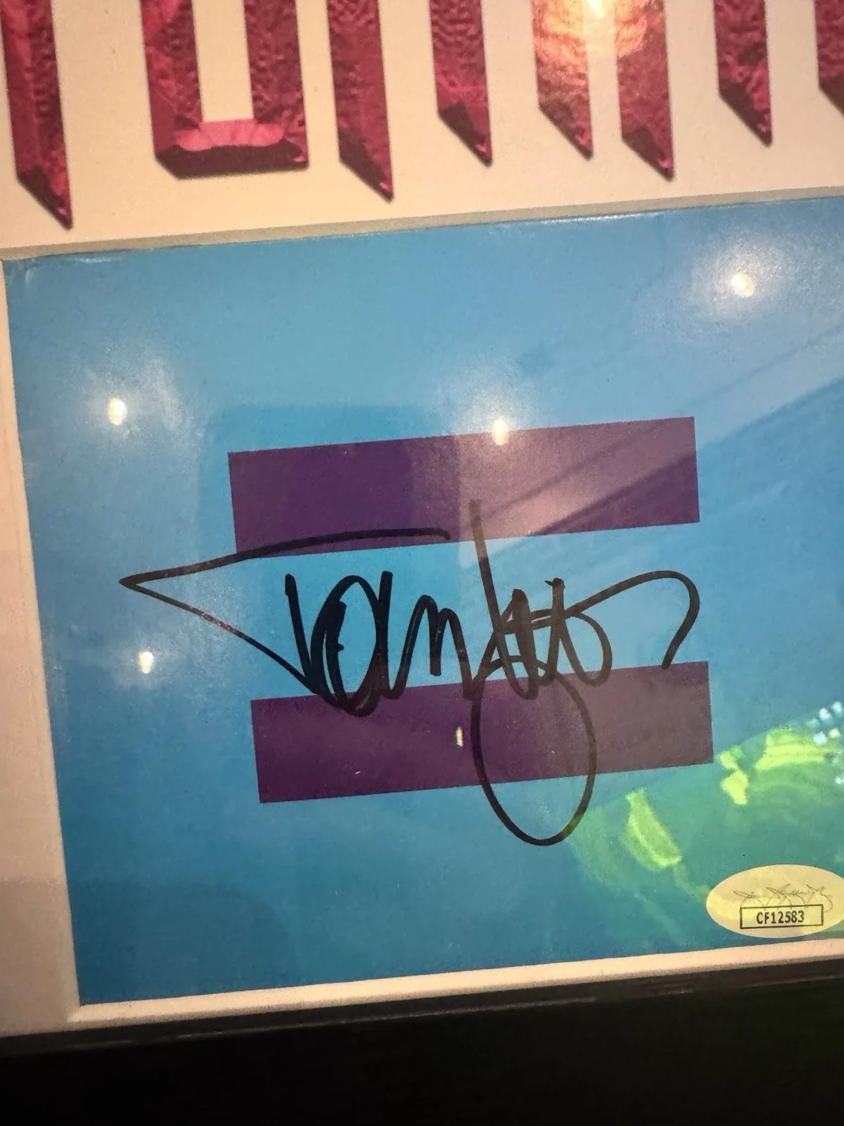 Tommy Lee Signed CD "Andro" Framed 13x19 - JSA, image 2