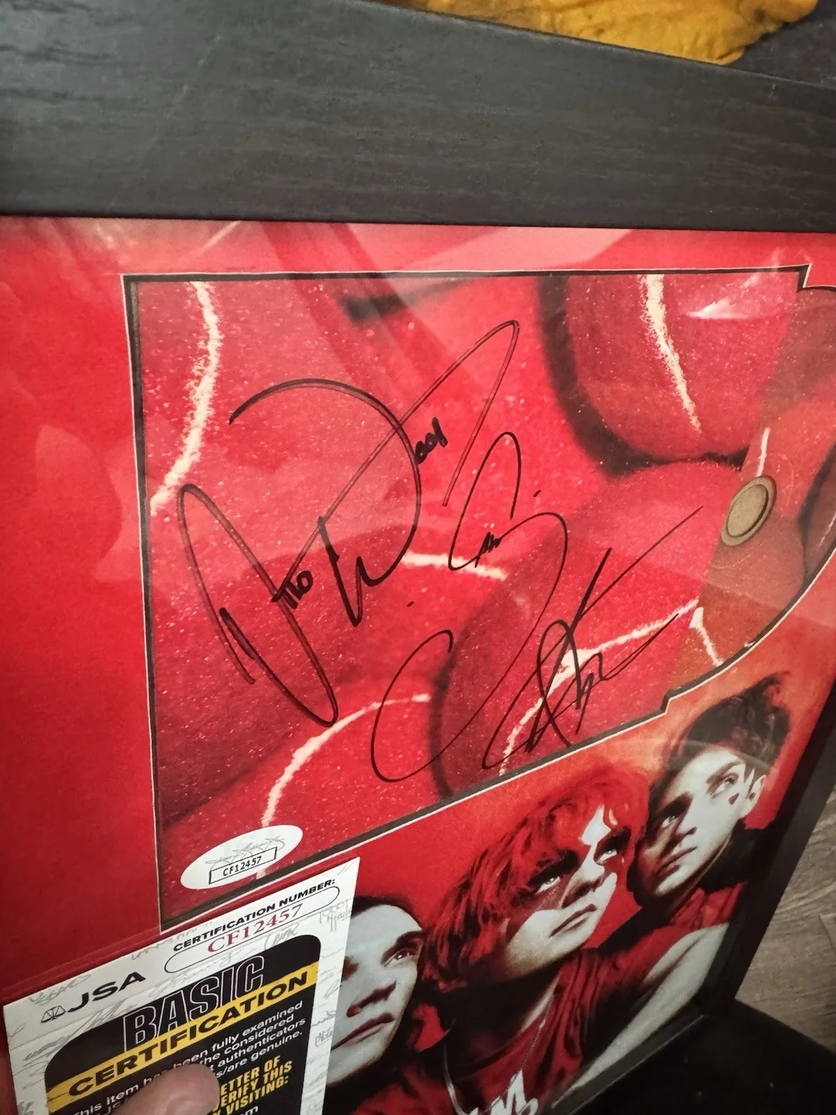 Waterparks Signed CD Insert "Funeral Grey" Framed 11x14 - JSA, image 3