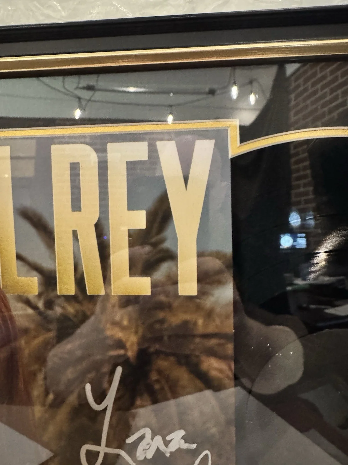 LANA DEL REY SIGNED AUTOGRAPH FRAMED 16x23 PARADISE VINYL ALBUM PSA DNA LOA, изображение 2