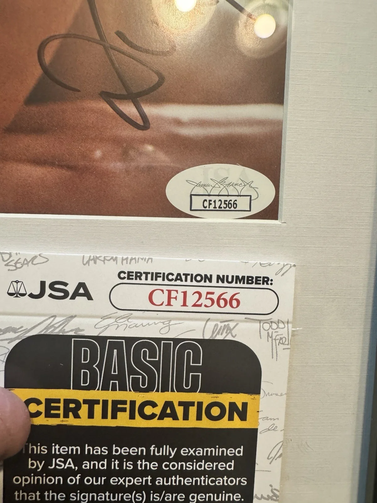 DUA LIPA — Dua Lipa Signed CD Insert "Radical Optimism" Framed 6.5x12 - JSA, image 2