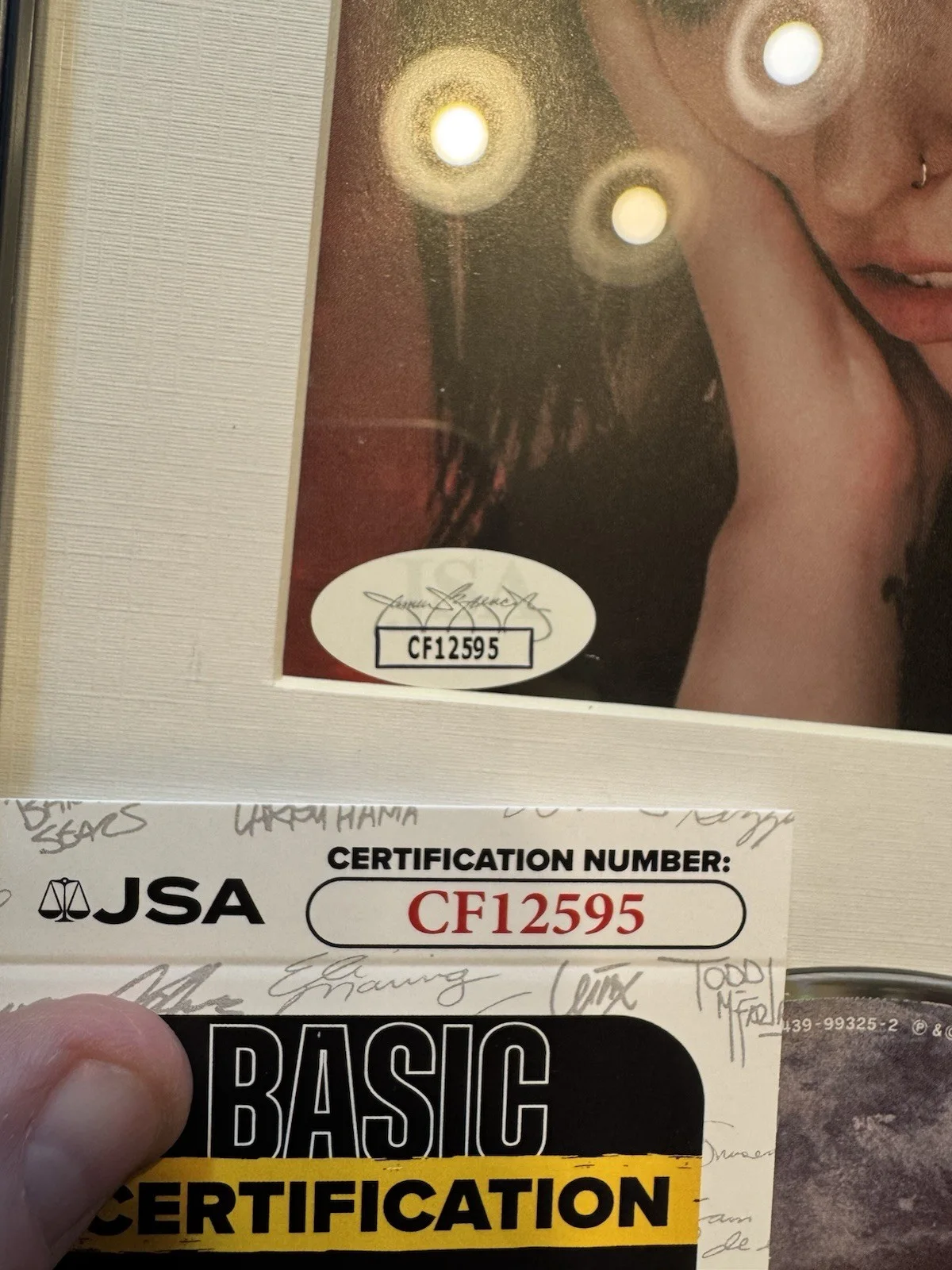 SASHA ALEX SLOAN — Sasha Alex Sloan Signed CD Insert "I Blame The World" Framed 6.5x12 - JSA, image 2