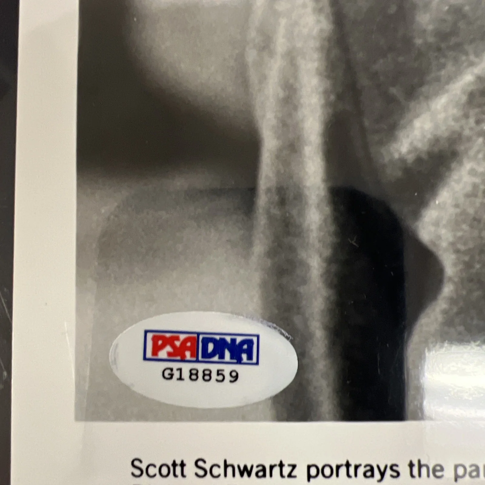 Signed 8 X 10 Of Scott Schwartz With Certificate Of Authenticity The Toy, image 3