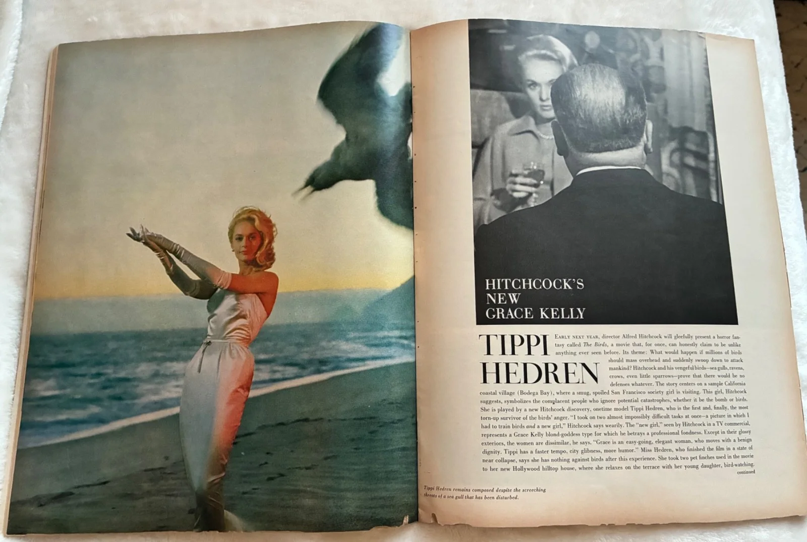 Tippi Hedren — TIPPI HEDREN Signed 1962 LOOK Magazine THE BIRDS Hitchcock - w/ PROOF PHOTO, изображение 4
