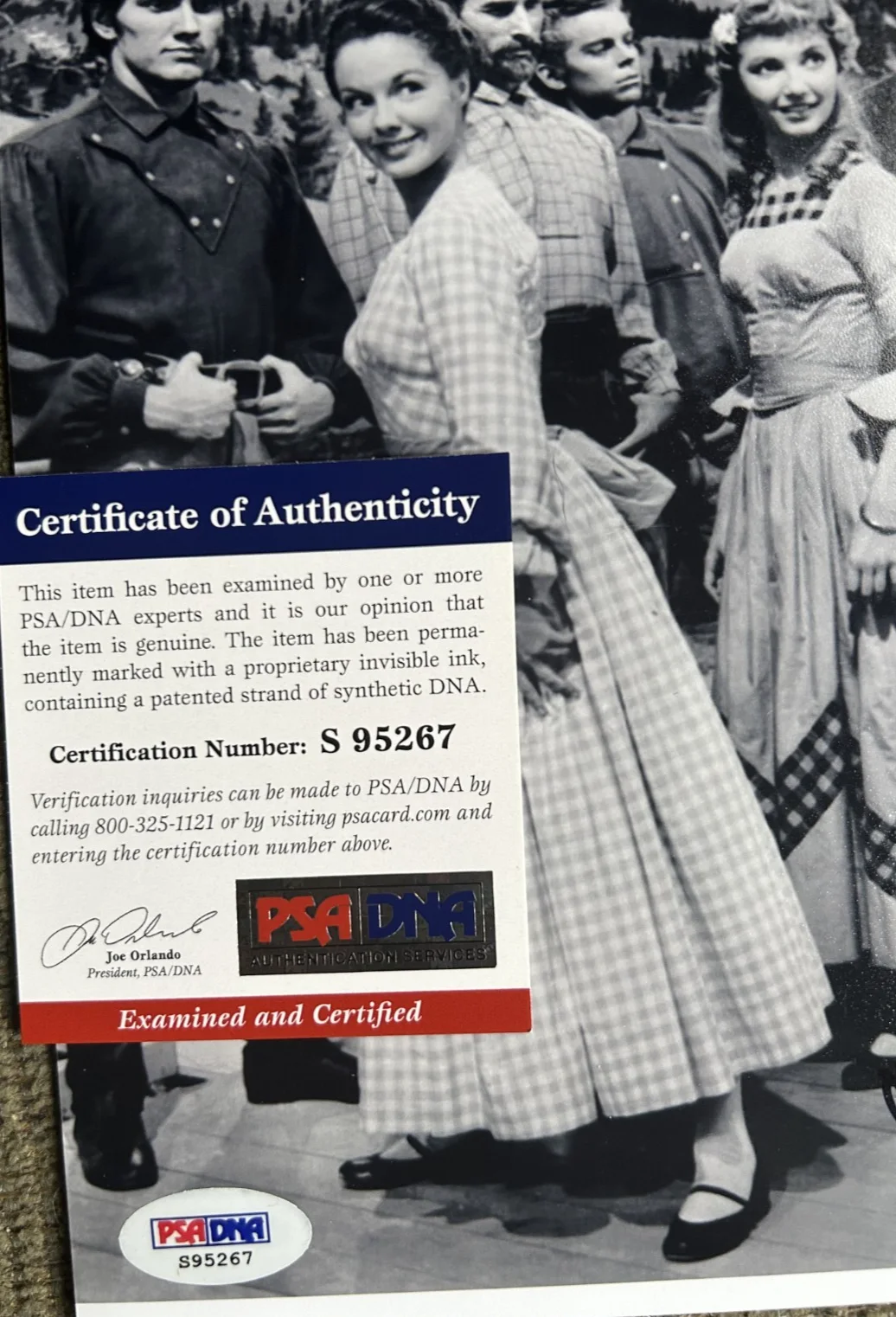 Ruta Lee — RUTA LEE Hand Signed SEVEN BRIDES FOR SEVEN BROTHERS 8x10 Autograph PSA DNA, изображение 2