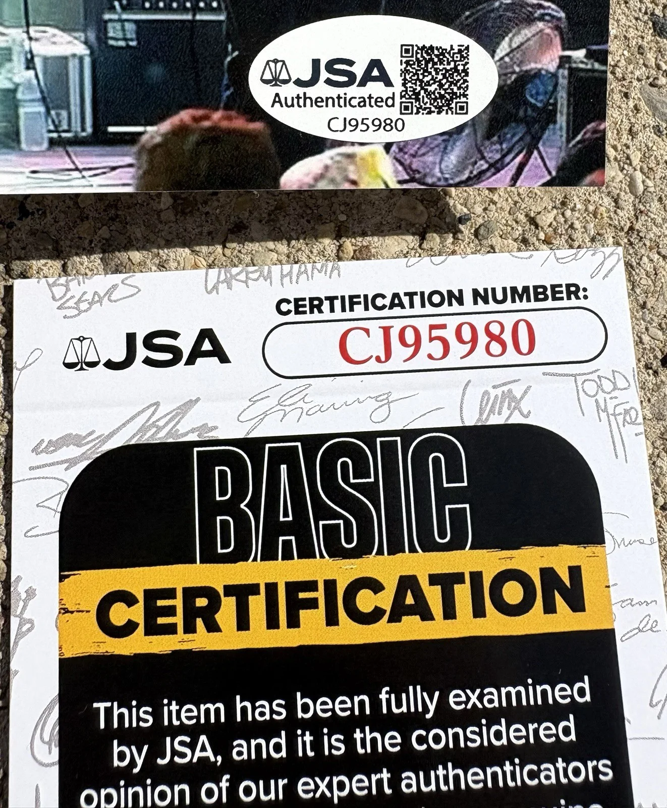 GEESE Getting Killed SIGNED 8x10 Photo JSA COA Dominic DiGesu B, изображение 3
