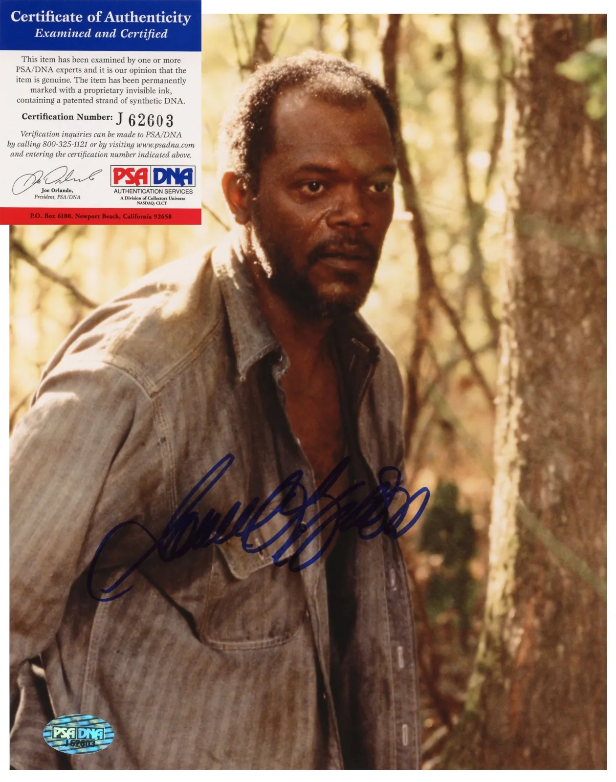 Samuel L. Jackson — Samuel L Jackson Signed PSA/DNA COA Autographed 8X10 A Time To Kill Photo Auto, изображение 2