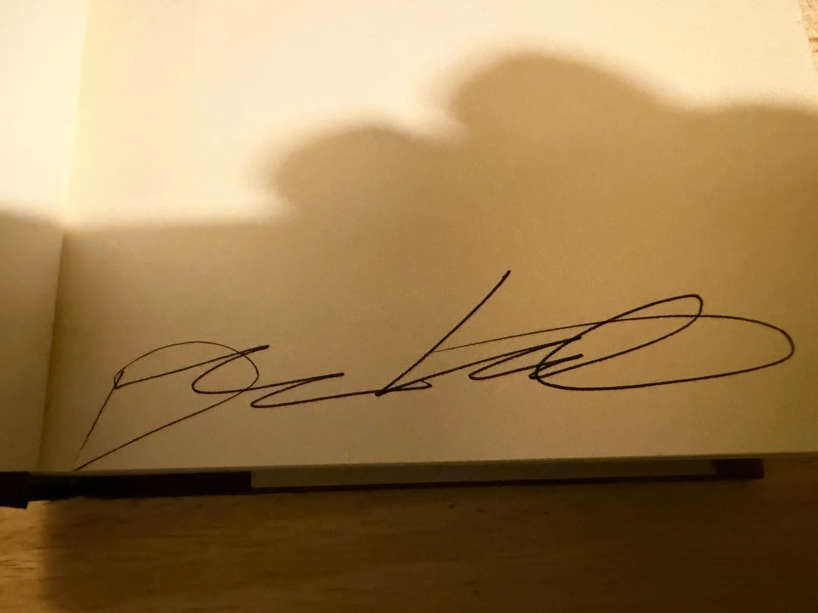 Diane Keaton — Diane Keaton Signed Then Again Hardcover Book Autograph 1st Edition, изображение 2