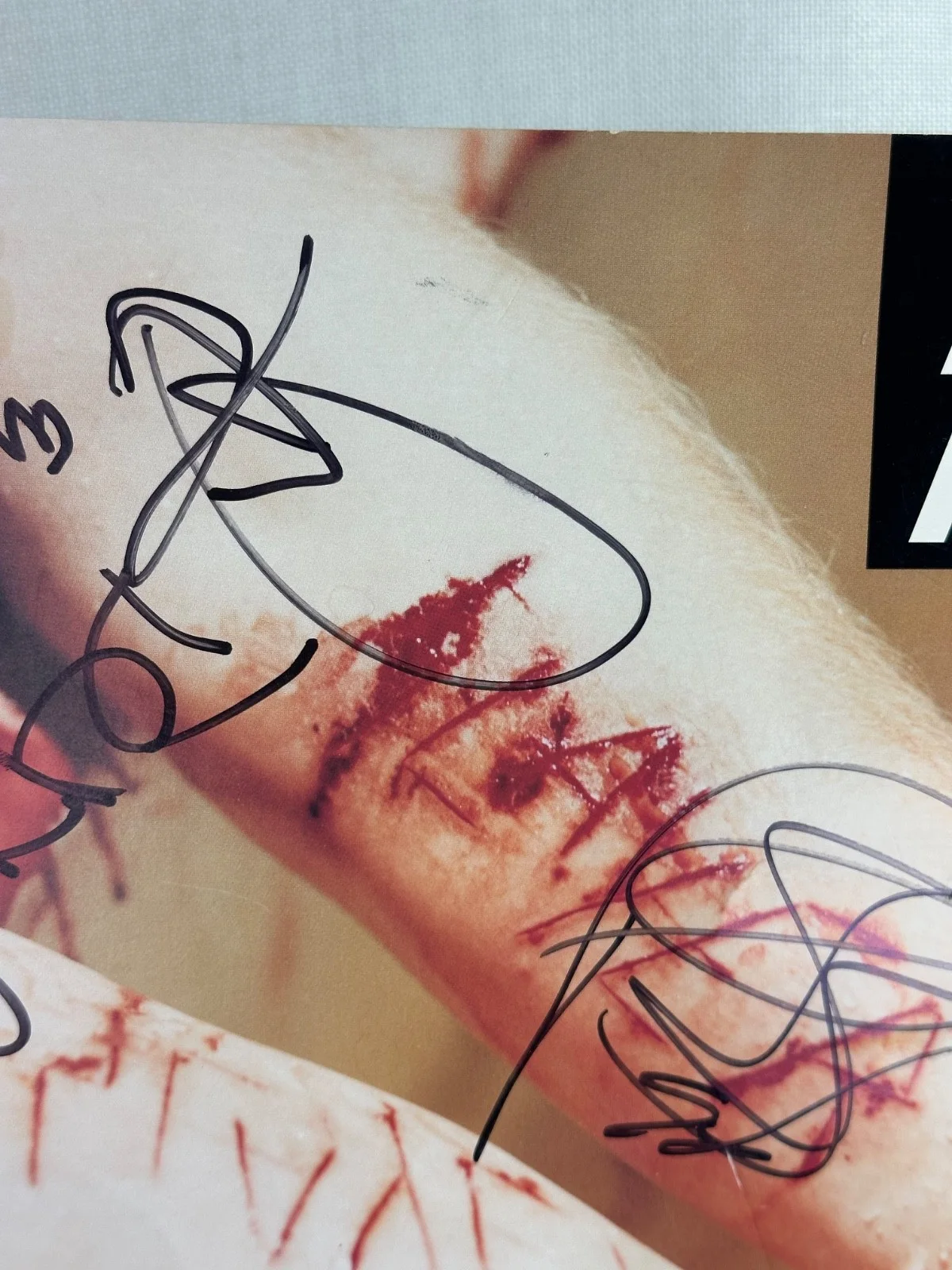 Slayer Divine Intervention Autographed 12x12 Flat Hanneman King Araya Bostaph, image 3