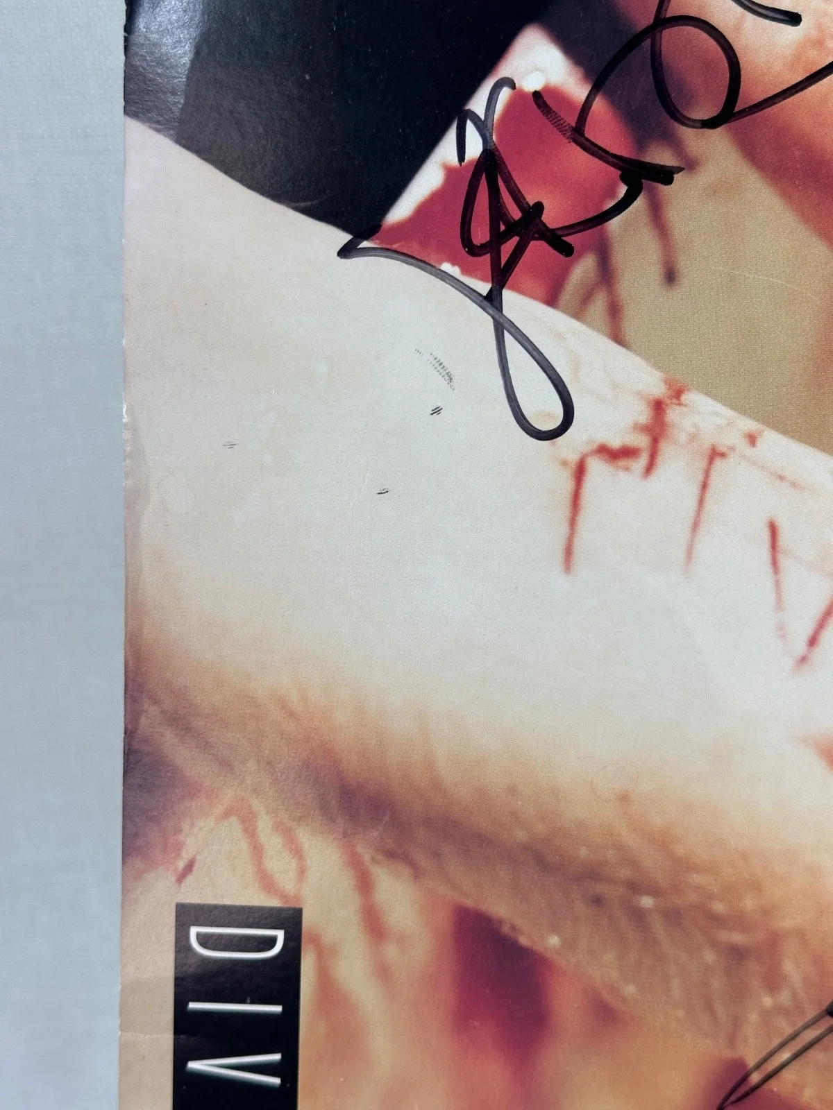 Slayer Divine Intervention Autographed 12x12 Flat Hanneman King Araya Bostaph, image 5